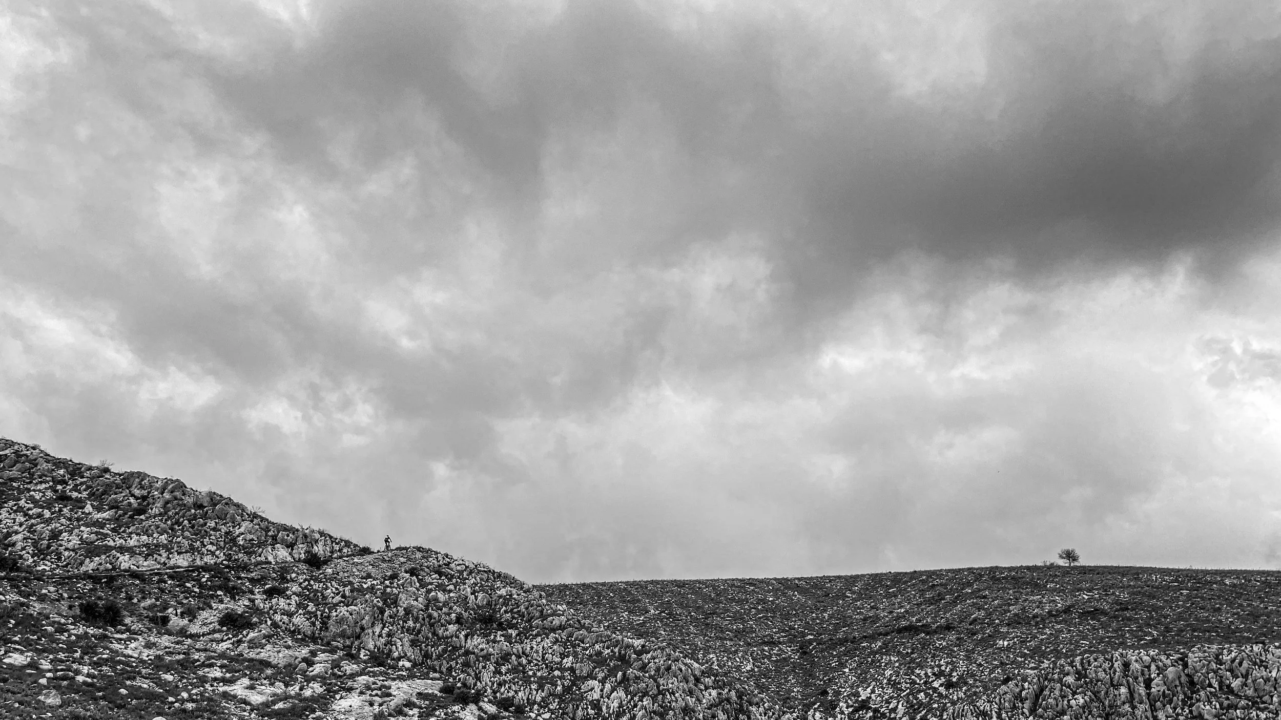 Black and white photo of a rugged hillside with sparse vegetation, cloudy sky overhead, and a lone tree in the distance.