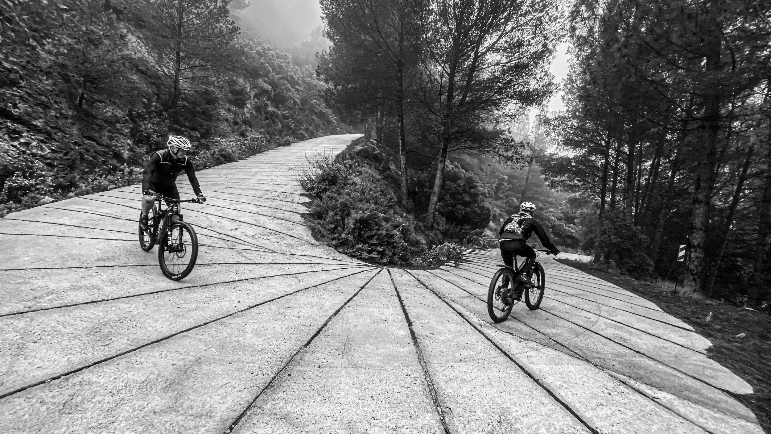 Two mountain bikers riding on a winding, concrete trail through a forest on a foggy day.