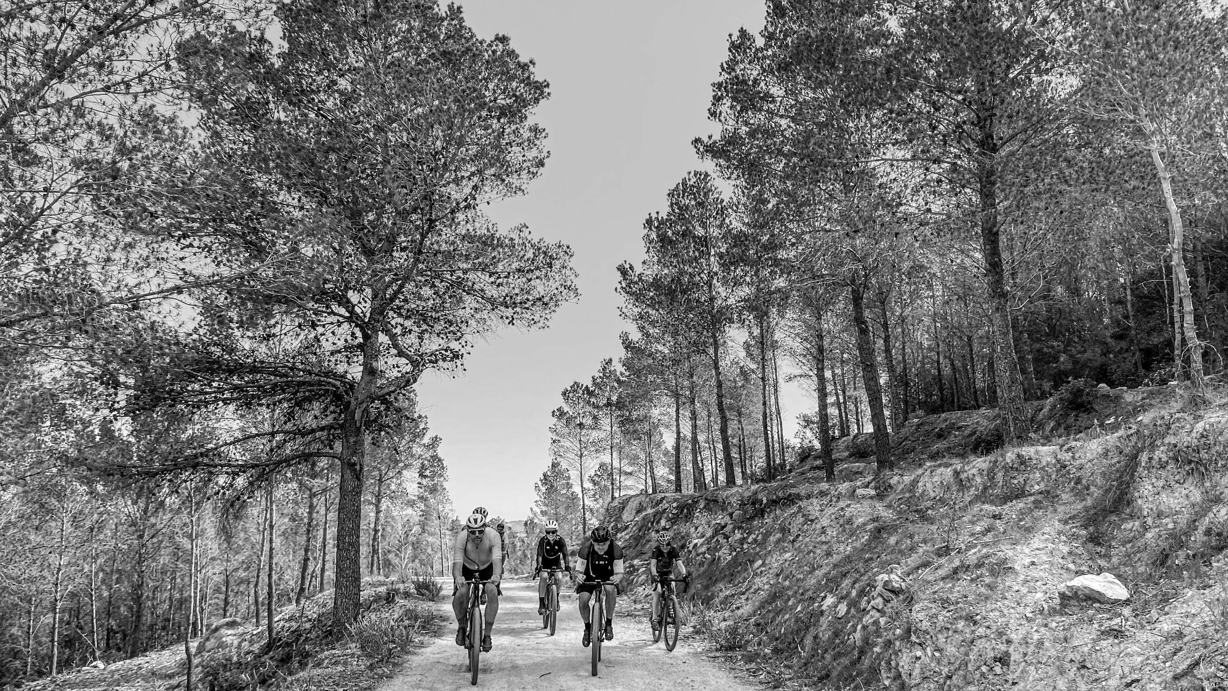 Four cyclists riding on a gravel dirt trail through a wooded area with tall trees on both sides on DEEKA Elevate cycling camp.