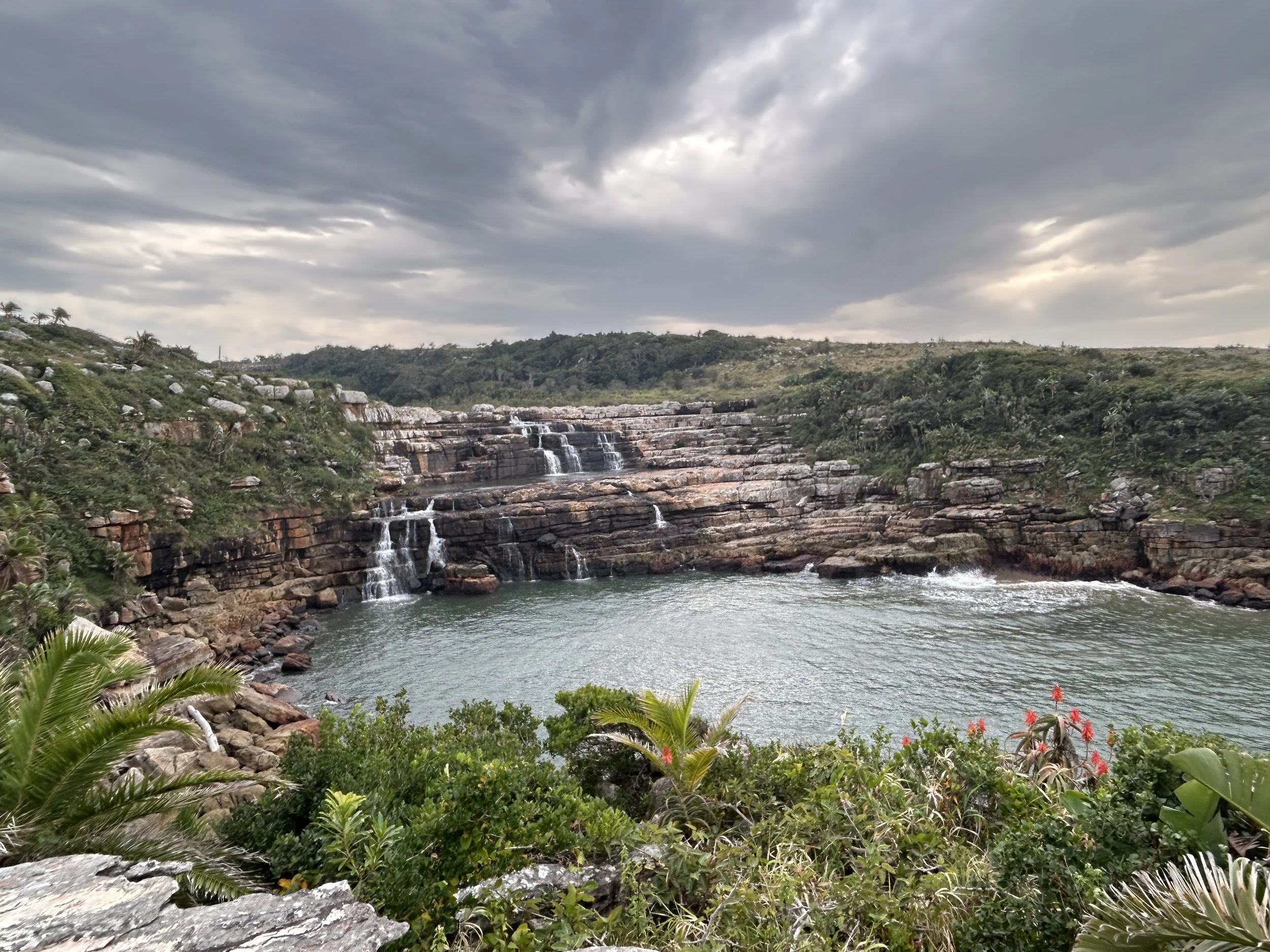 An Investigation into the Status of  South Africa's Provincial Reserves (Feb-June 2025)