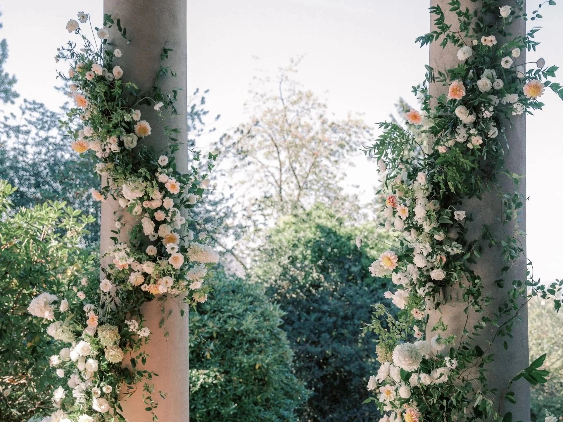 Climbing Florals