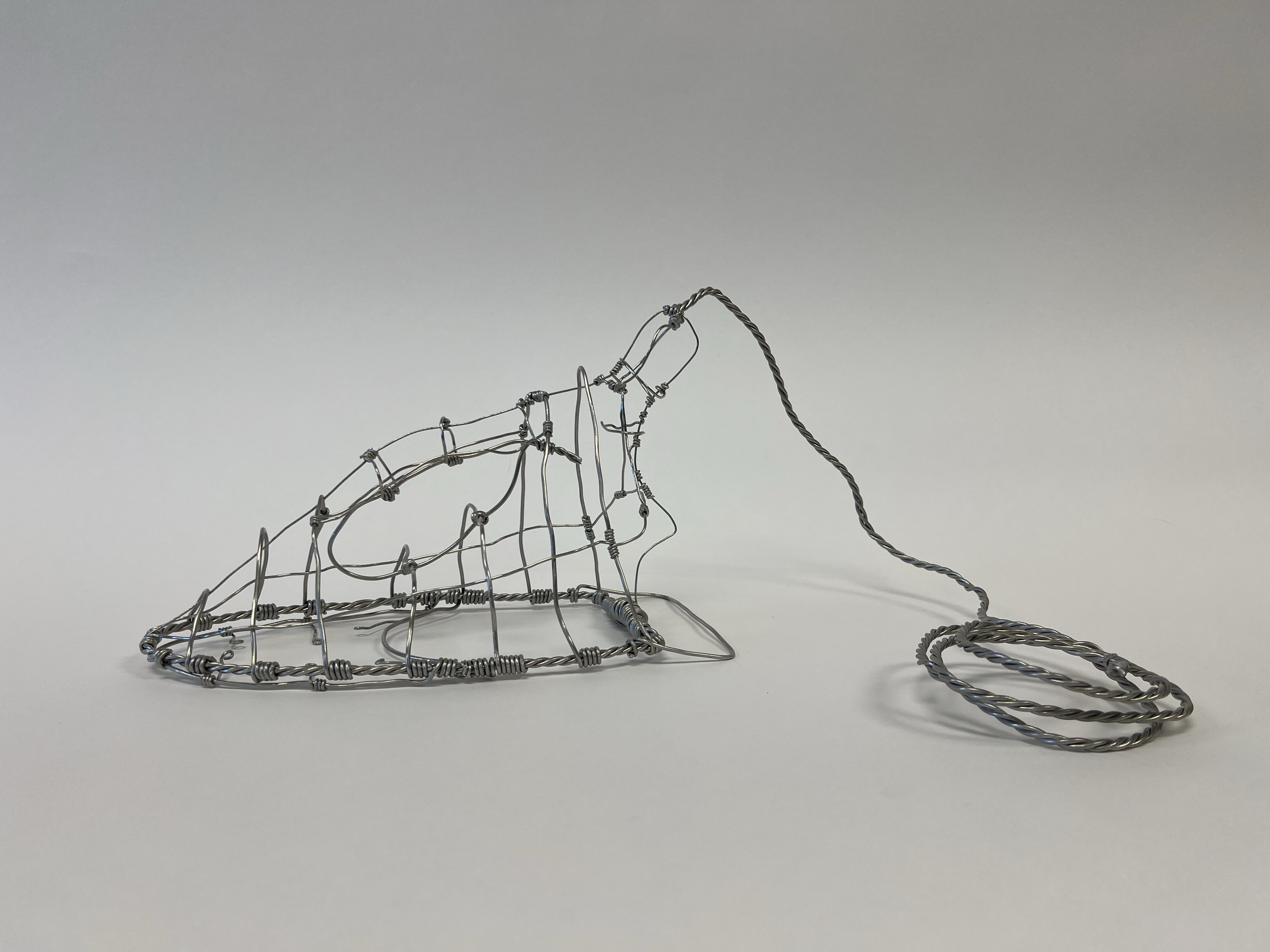 clothing iron using armature wire