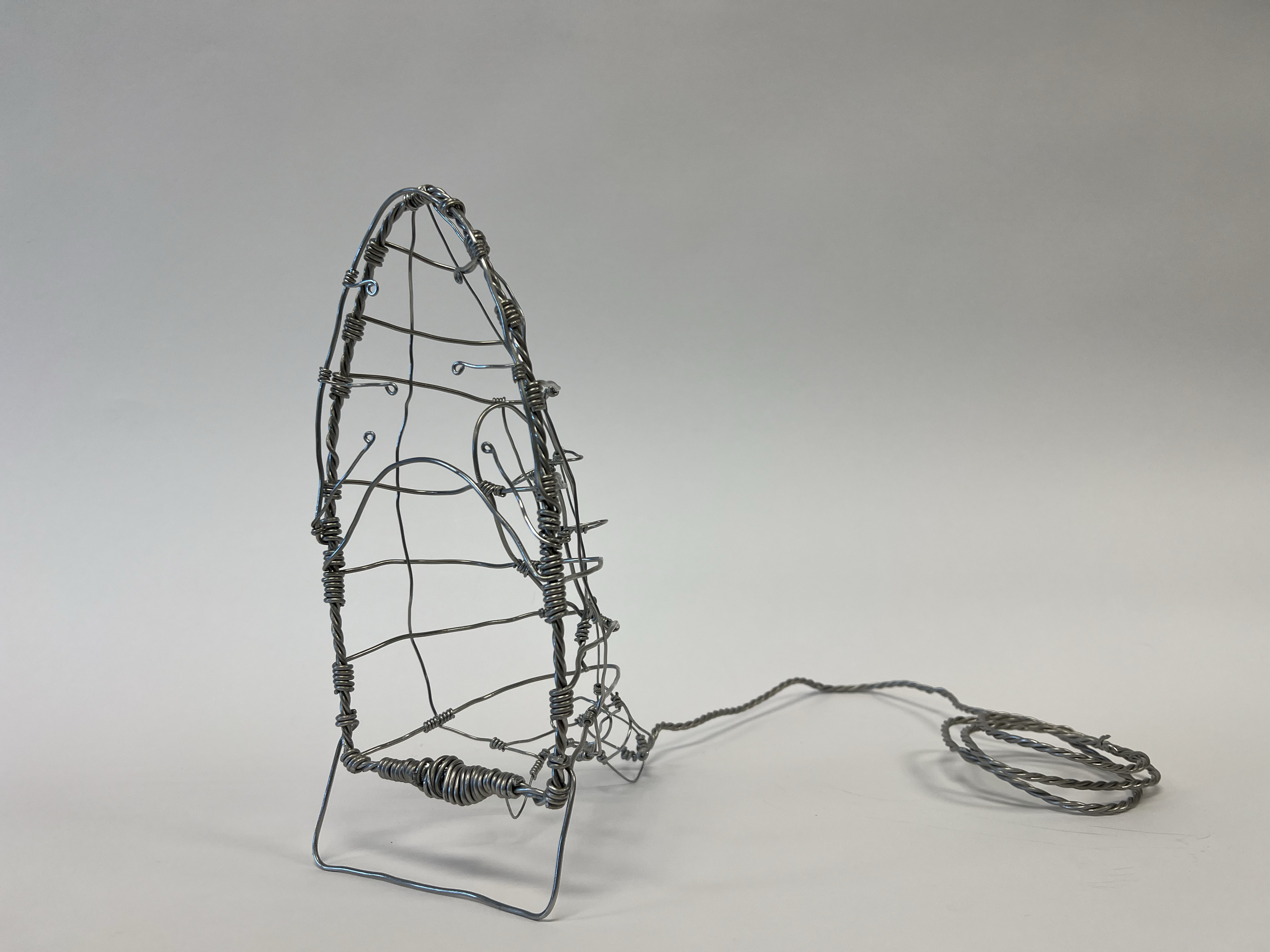clothing iron using armature wire