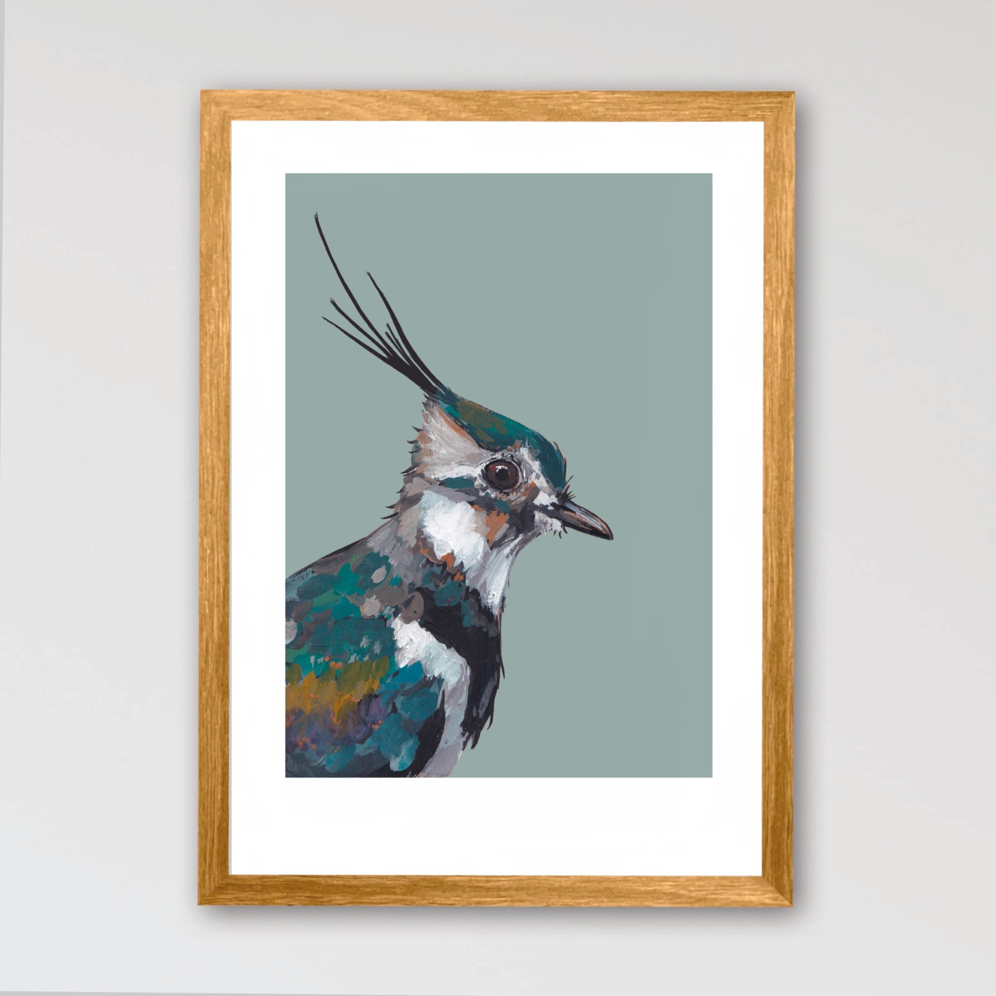 Lollipop the Lapwing Art Print