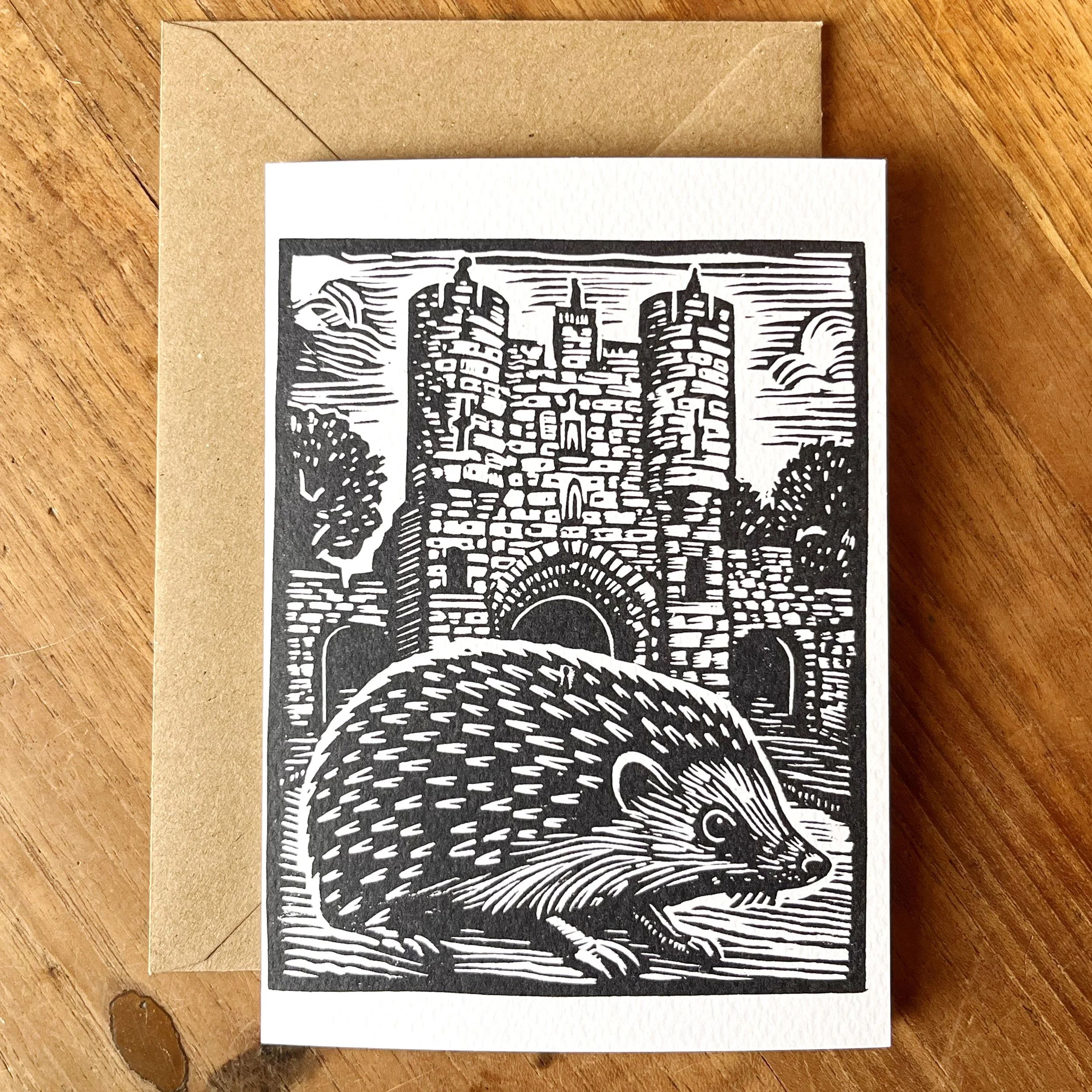 Hedgehog Micklegate York.jpg