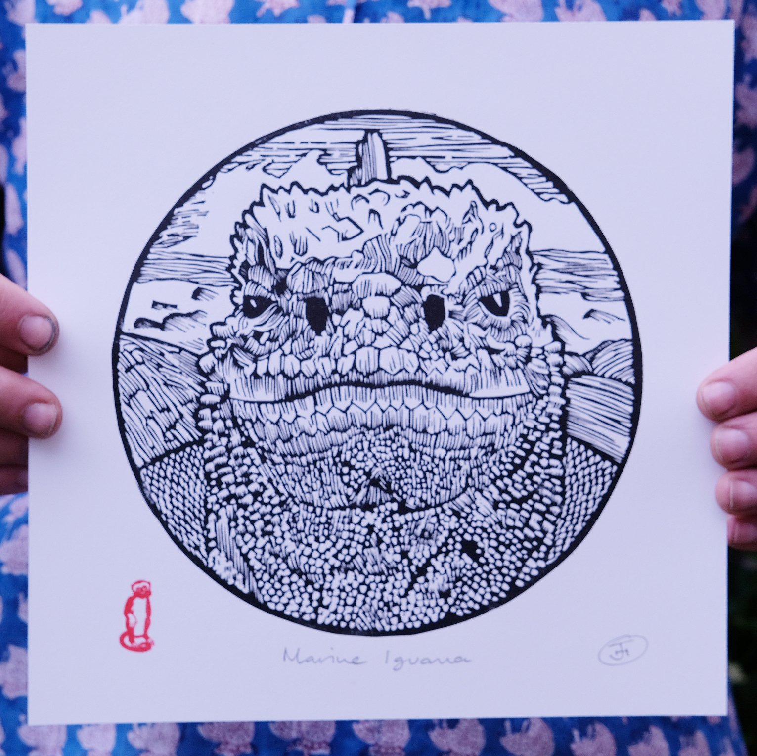 Marine Iguana hands.jpg