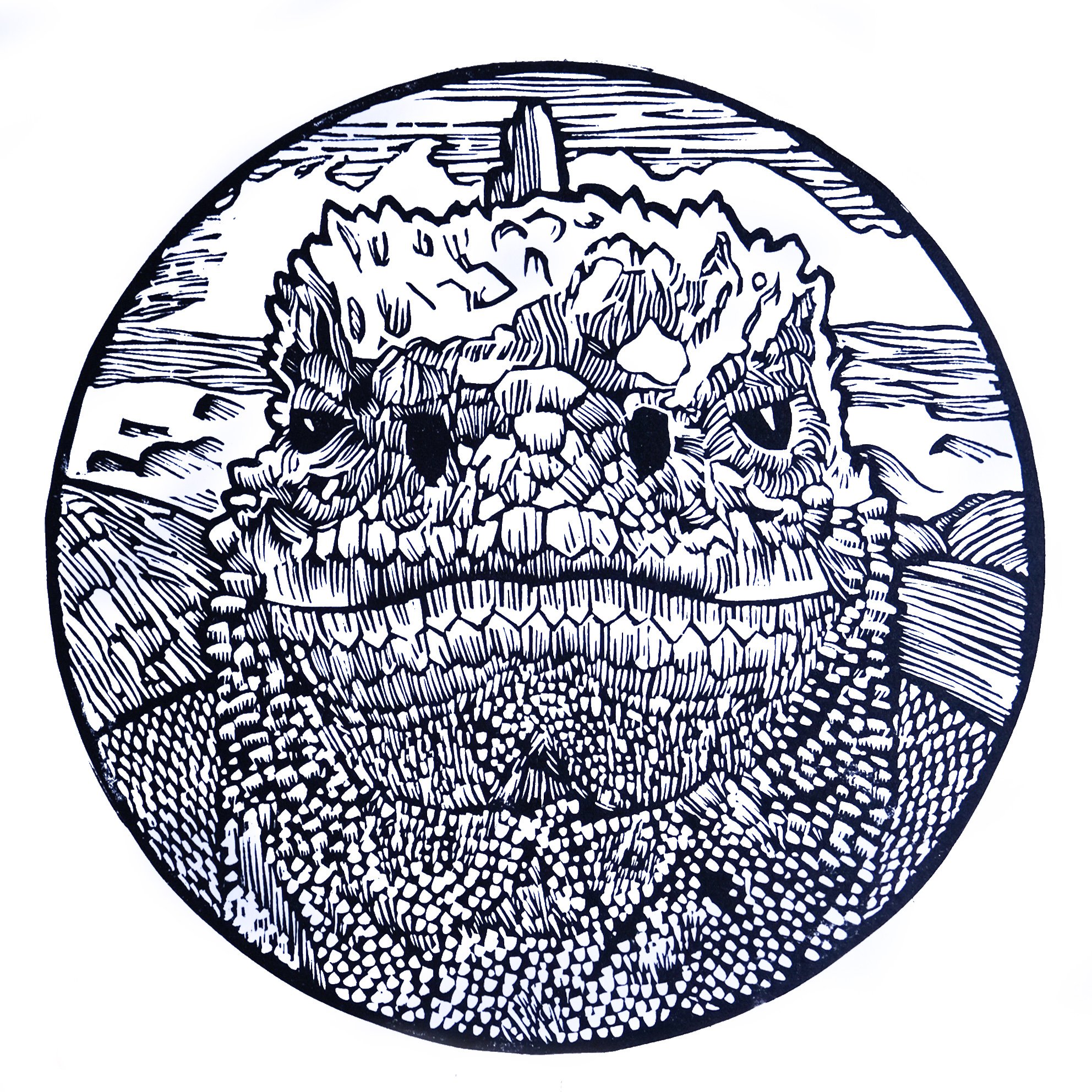 Marine Iguana_square.jpg