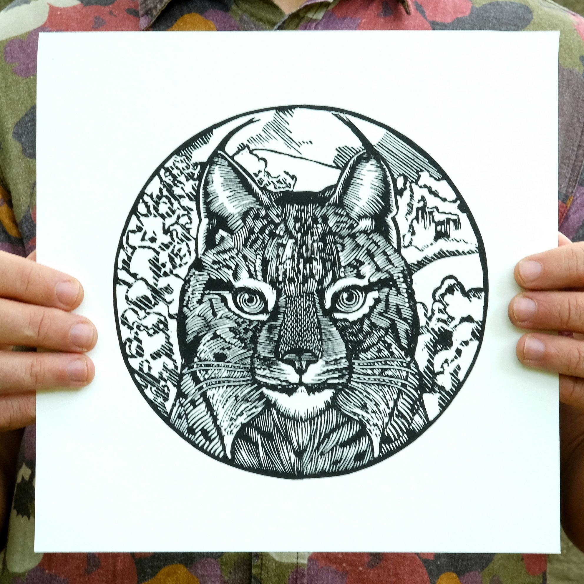 Iberian Lynx_Holding Print2.jpg