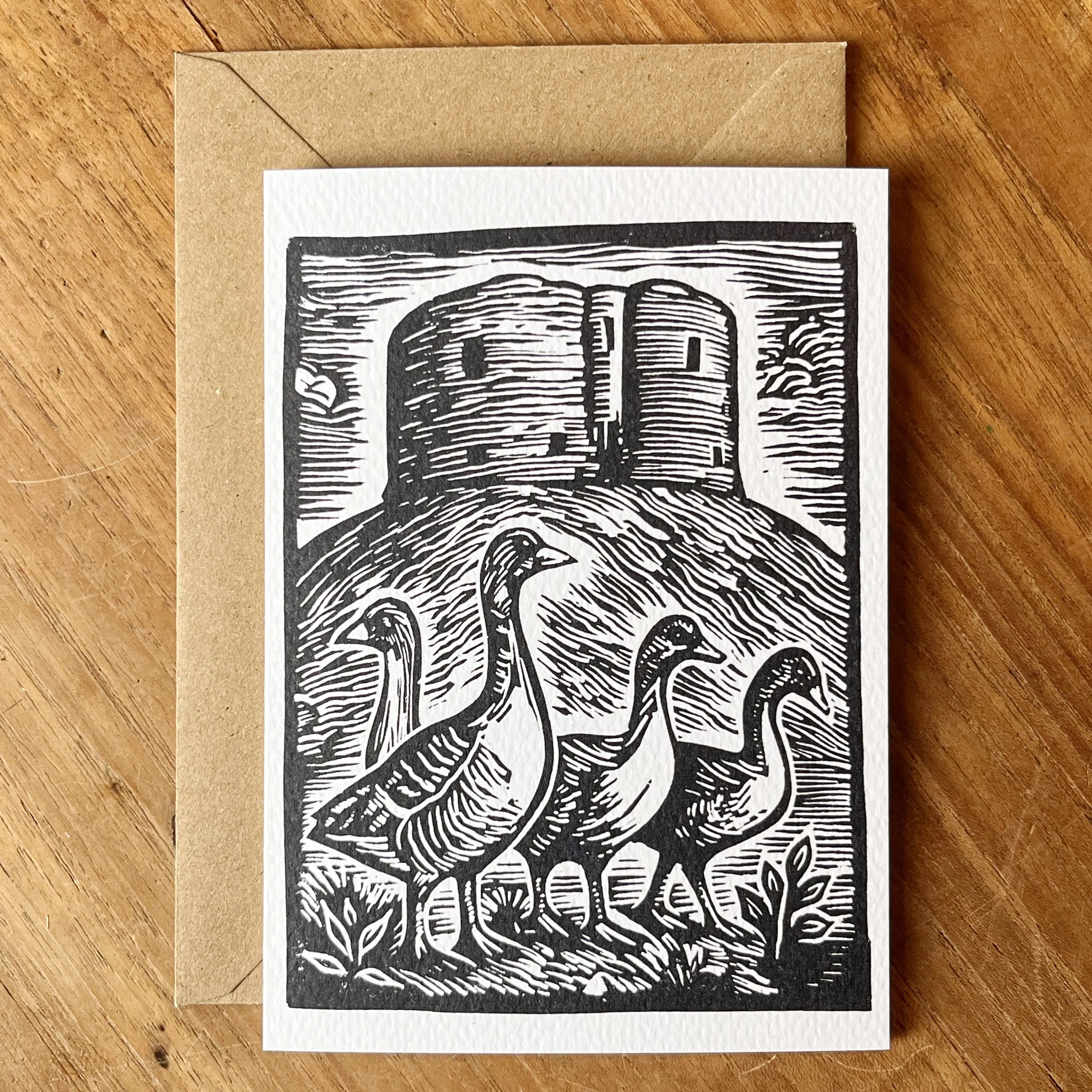 Geese Cliffords Tower.jpg