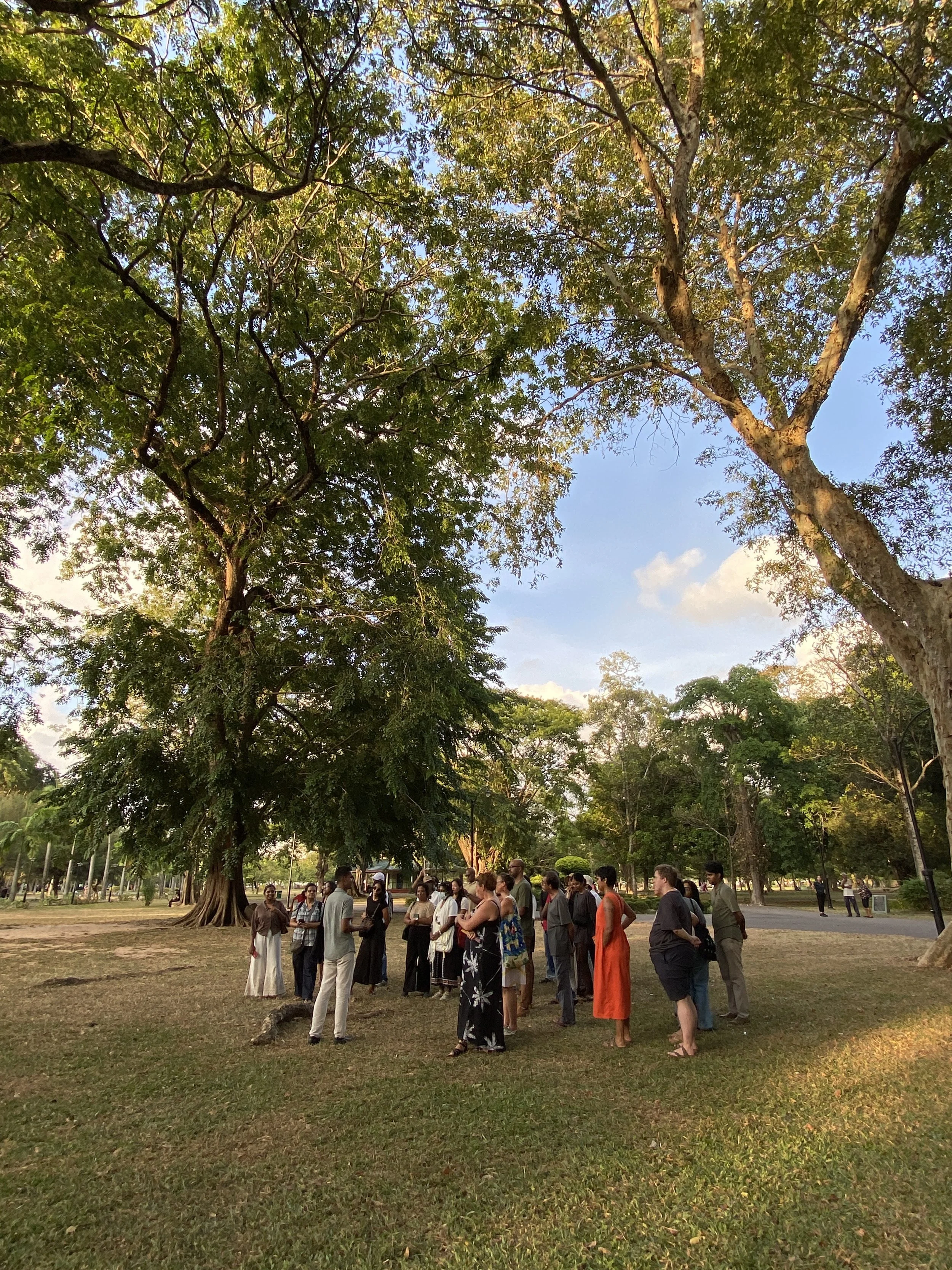 Walk: Gardens Stories–botanical myths and tales in Viharamahadevi Park
