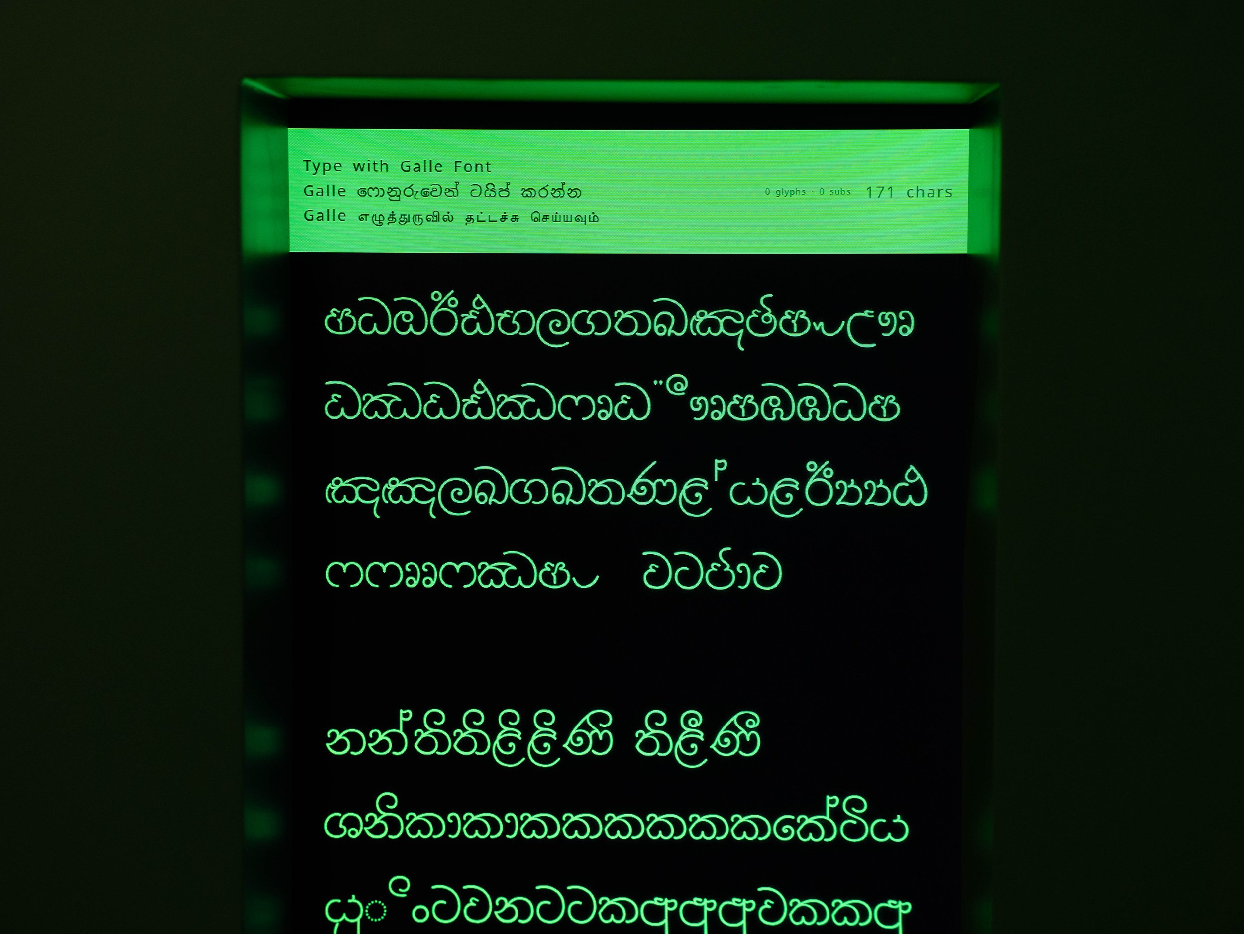 Copy of Copy of DSC08877.jpg