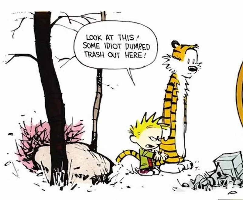 Sometimes it takes a child&rsquo;s perspective &mdash; like we advocate in the @playfuledproject &mdash; to see how absurd our habits can be.

Calvin &amp; Hobbes remind us that humor and honesty can cut through complexity. 

And that&rsquo;s exactly