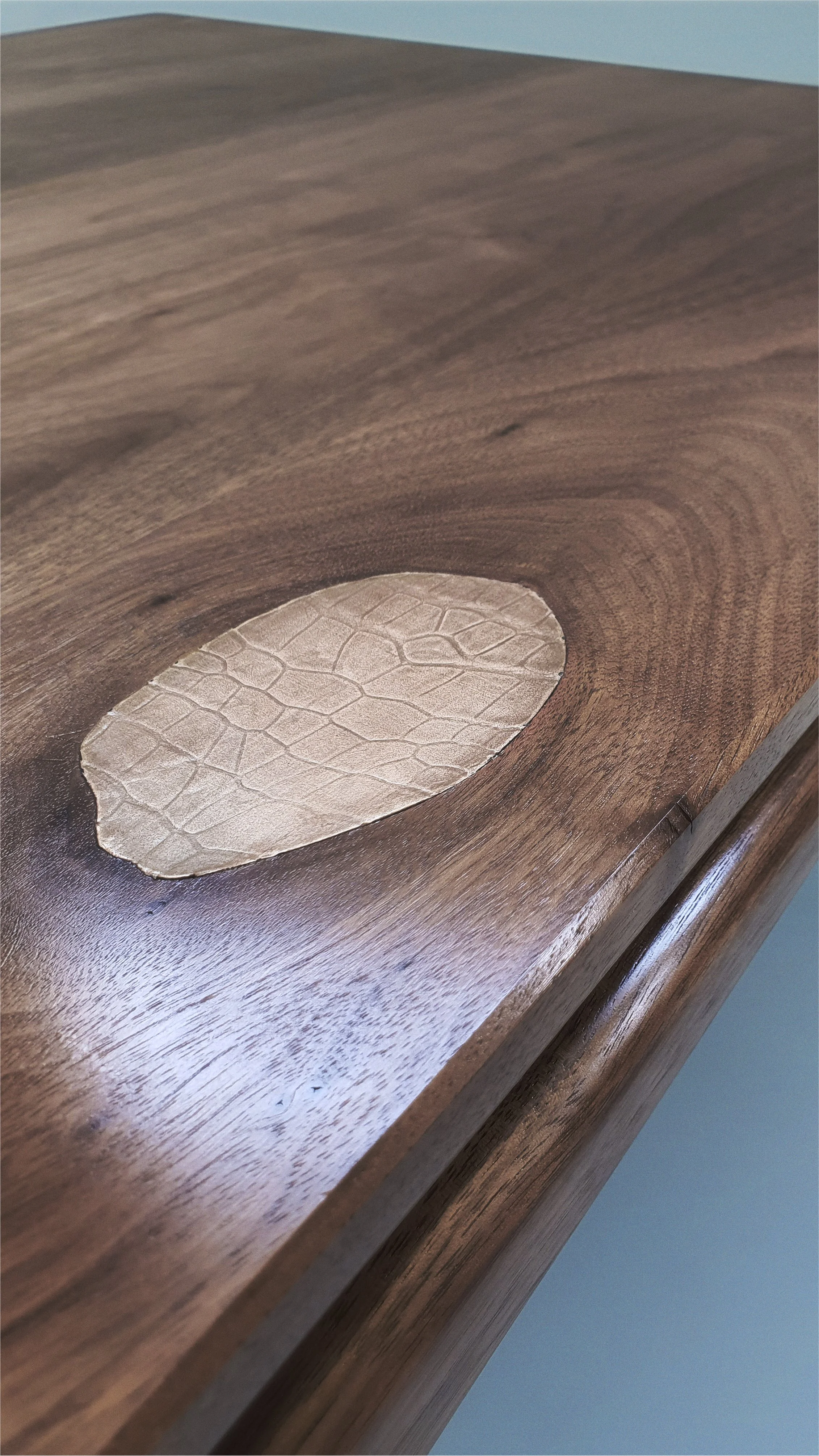 Patch of handcoated bronze on exotic leather skin