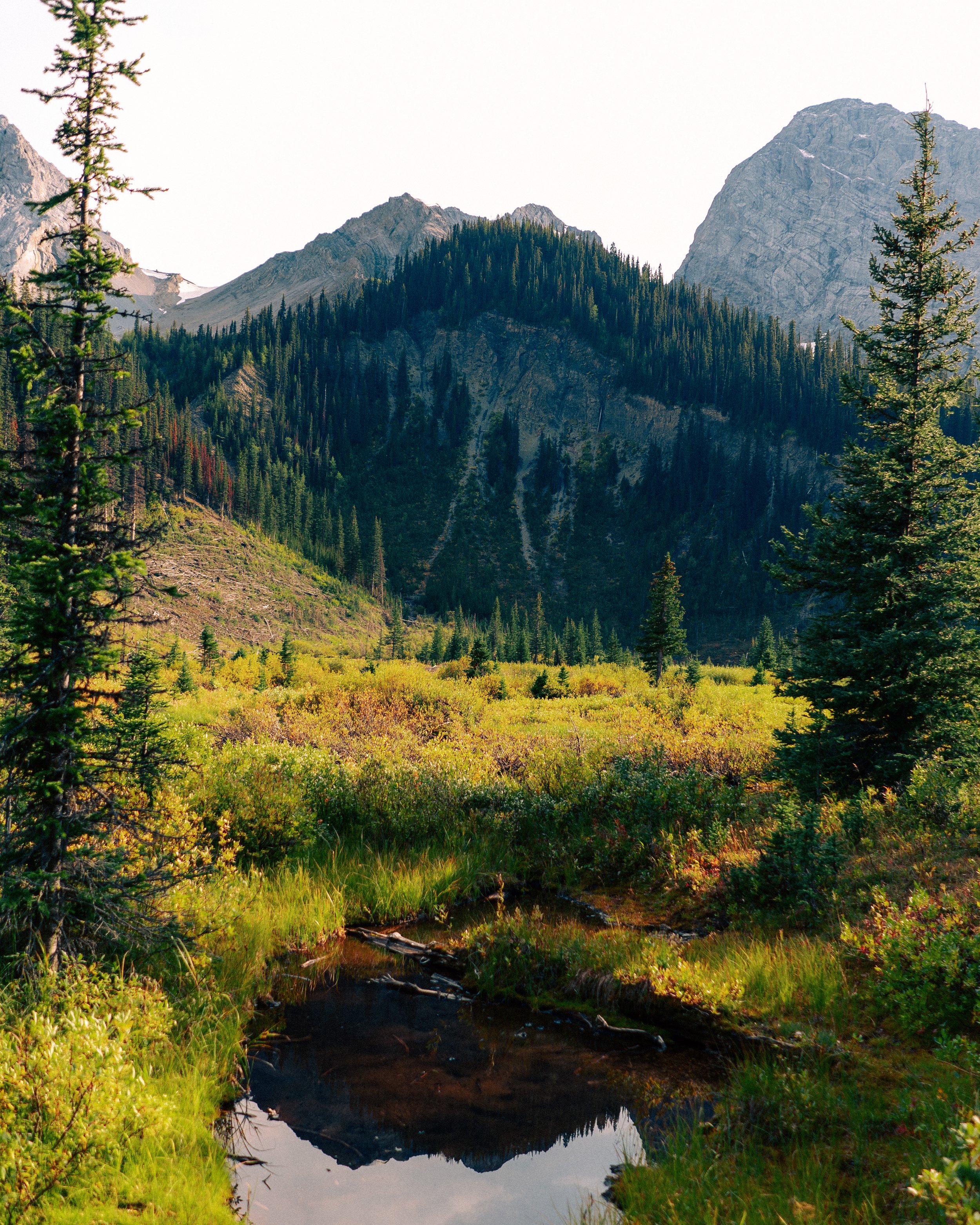 credit @ryanbreitkreutz _DSC0027.jpg