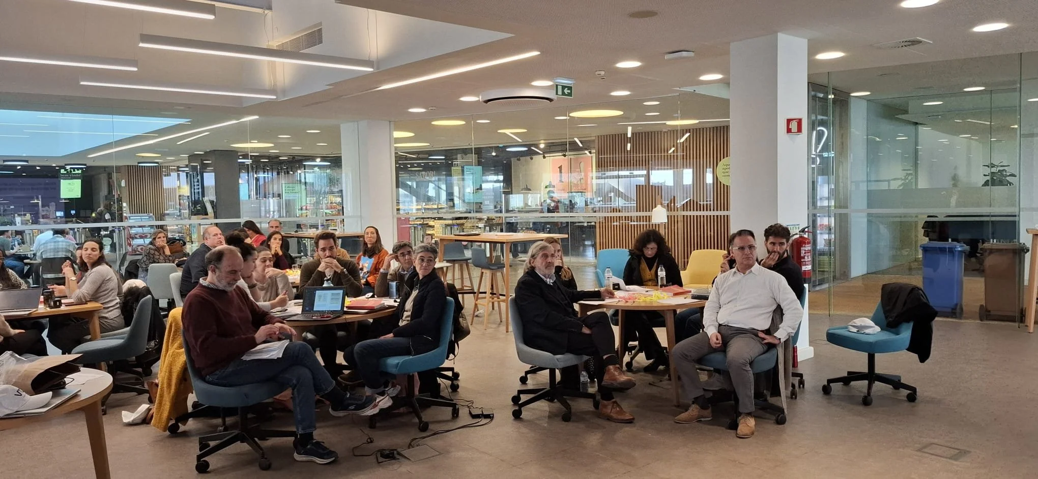 WhatsApp Image 2025-12-11 at 11.48.09.jpeg