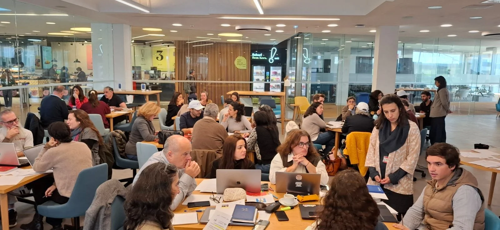 WhatsApp Image 2025-12-11 at 11.48.22.jpeg