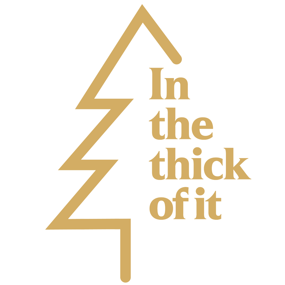 In The Thick Of It