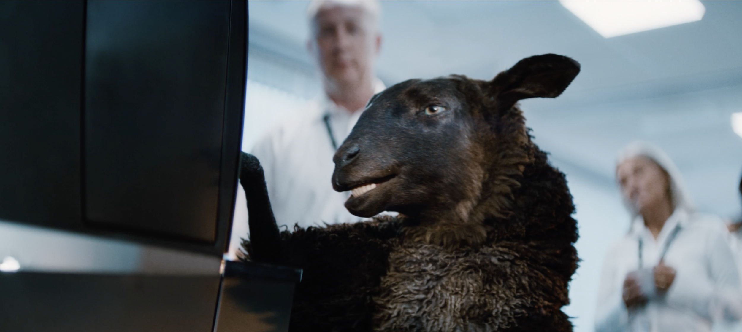 Frank the Sheep sitting at a computer with people in the background in a Tele2 commercial, cinematography by Johan-Fredrik Bødtker.