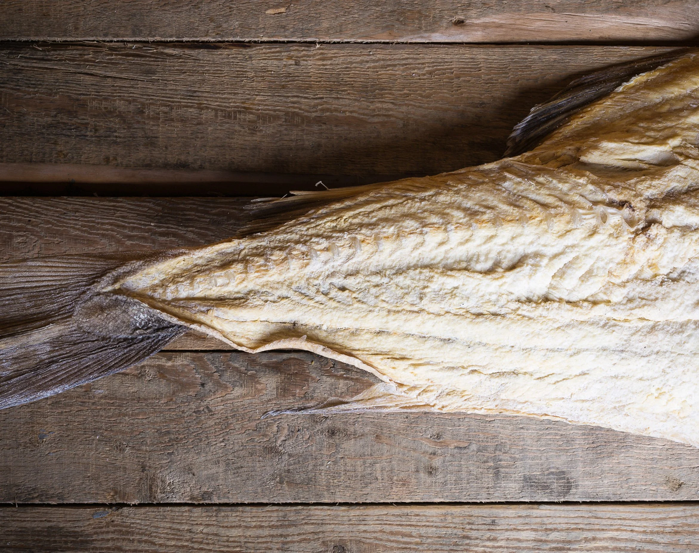 Torrfisk.jpg