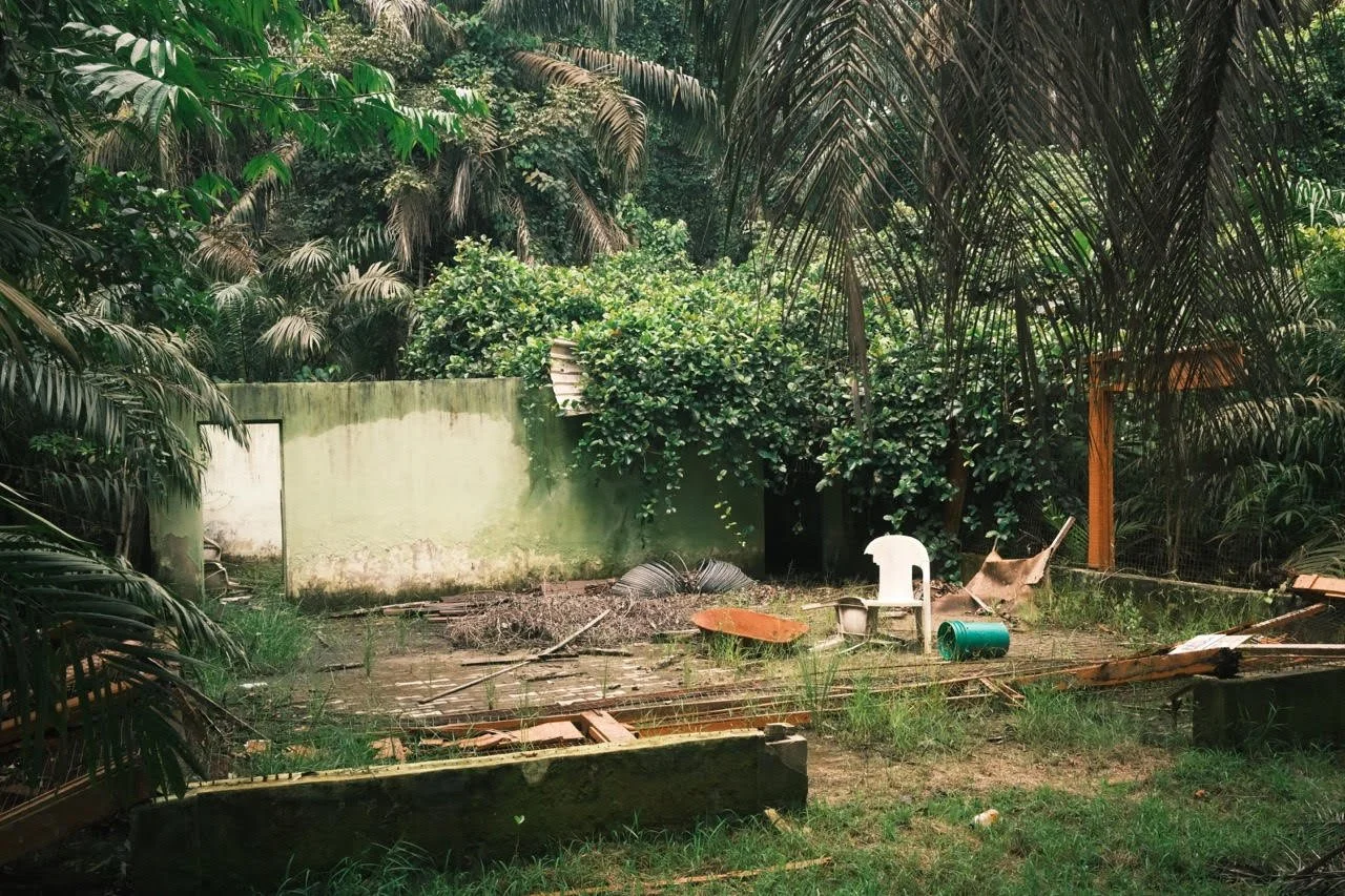 Ipoh, Los Prisioneros, and Photography Zines [6/9 2025]