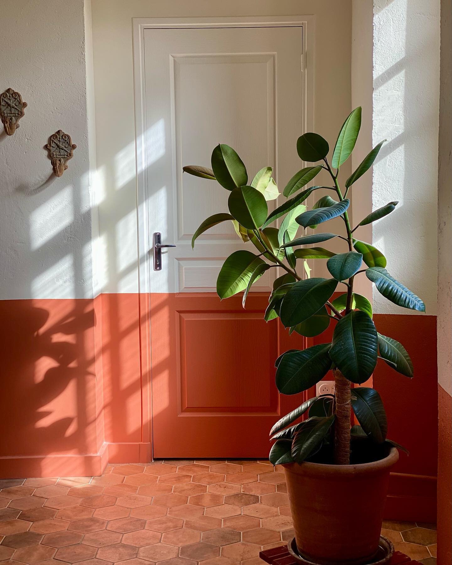 House plant passion 🪴
Silence, &ccedil;a pousse. 
We love to see our plants grow happily in the sunny rooms of Le Prieur&eacute;. 
Generally speaking, the presence of plants gives life to places and the fact of growing vegetation is indicator of a p