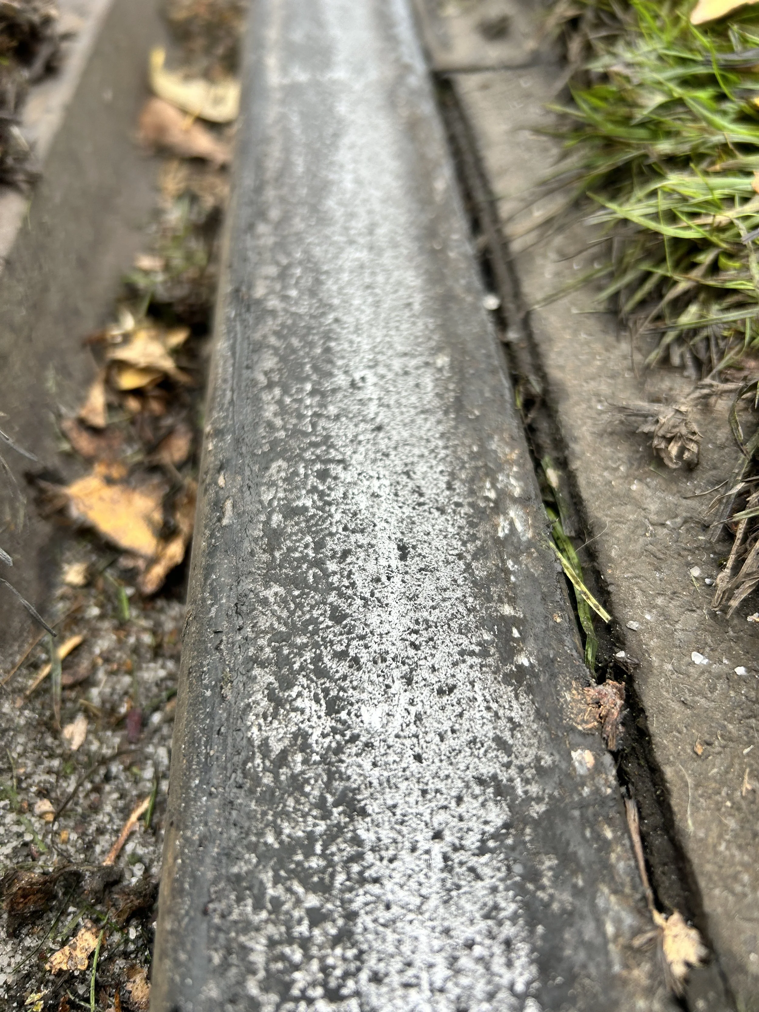 CASE STUDY 4: Low Adhesion Investigation (Grooved Rail)