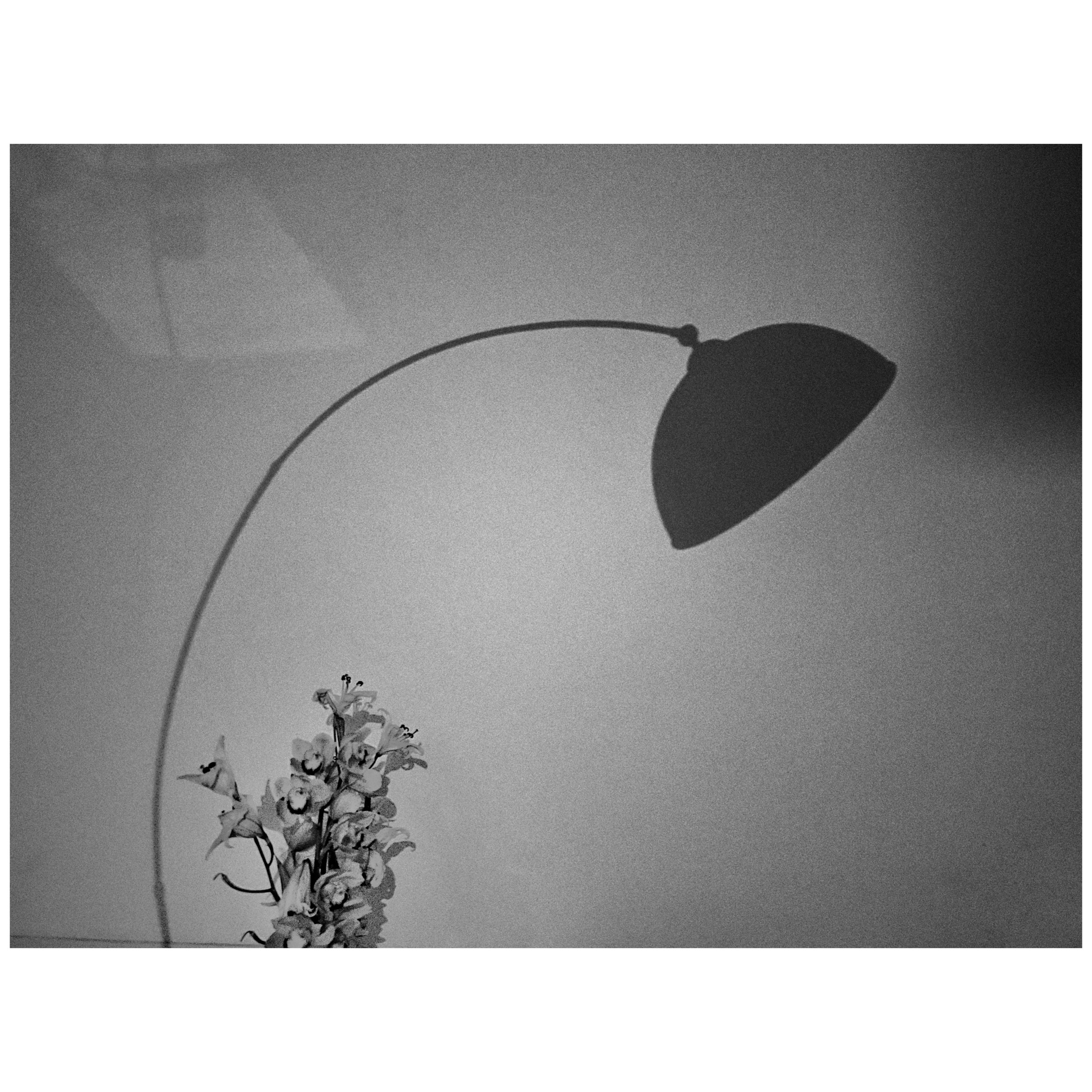 Via della Scala, Trastevere 2022