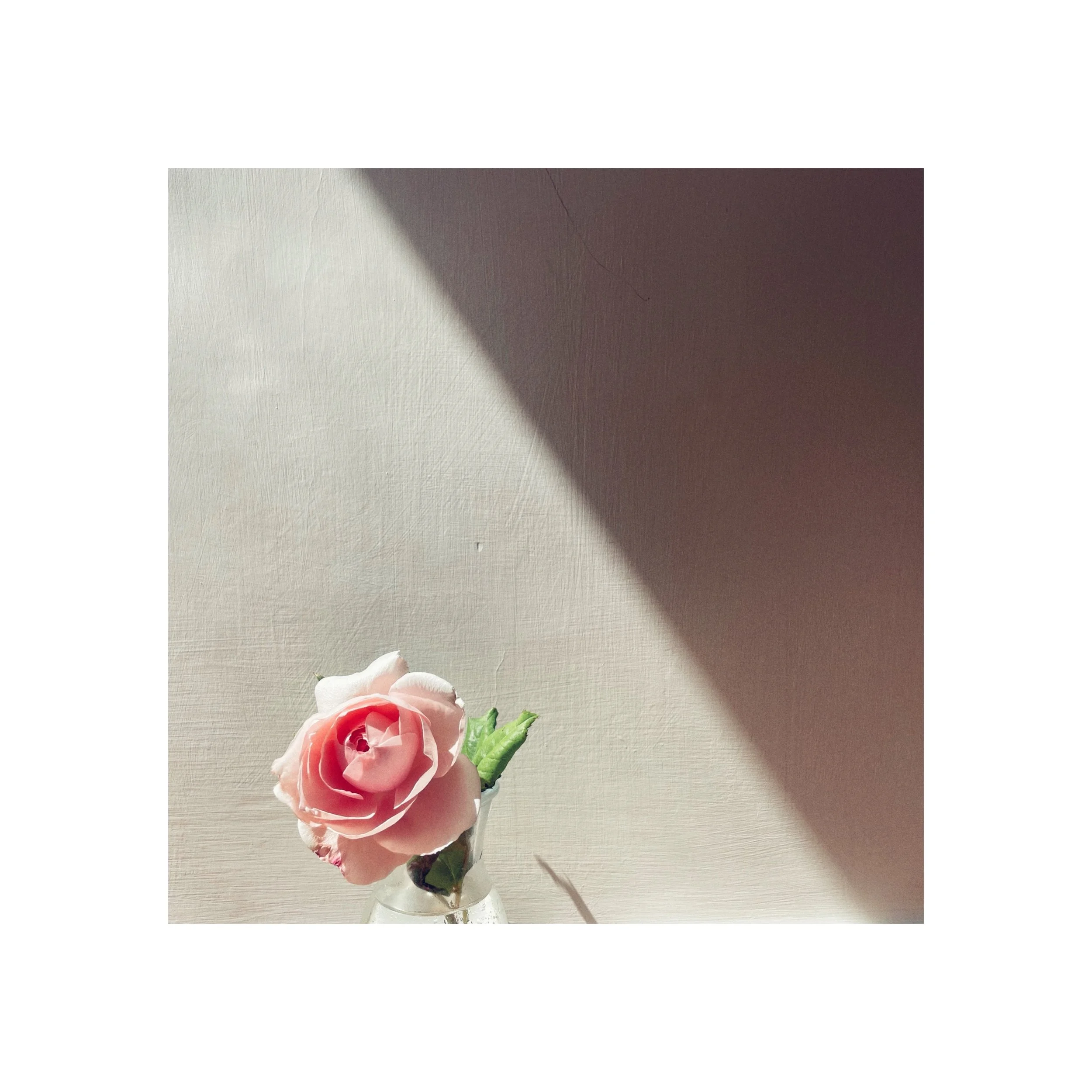 Via della Scala, Trastevere 2022