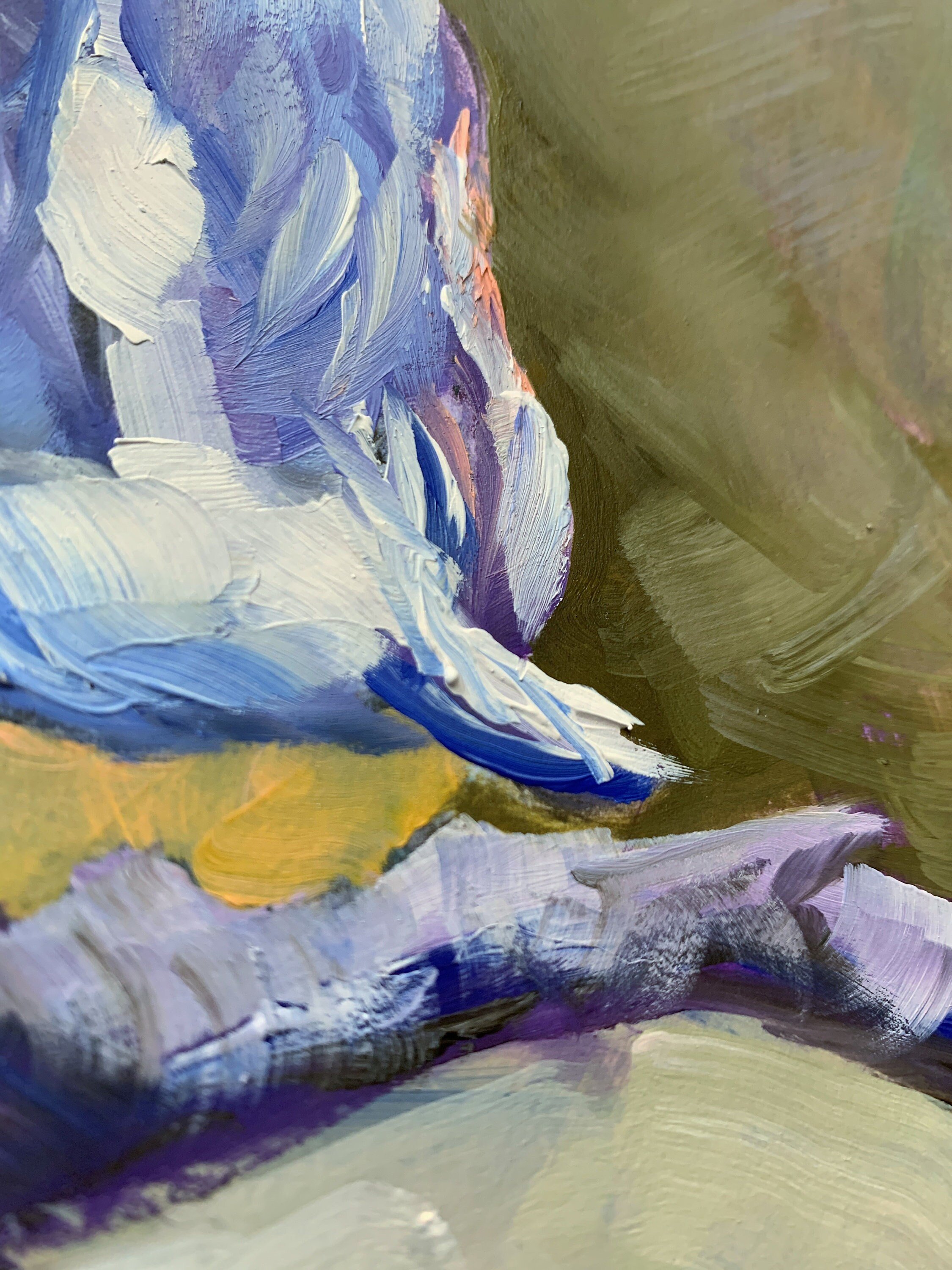 https://i.etsystatic.com/10131718/r/il/982bd8/3951515933/il_fullxfull.3951515933_tt3y.jpg