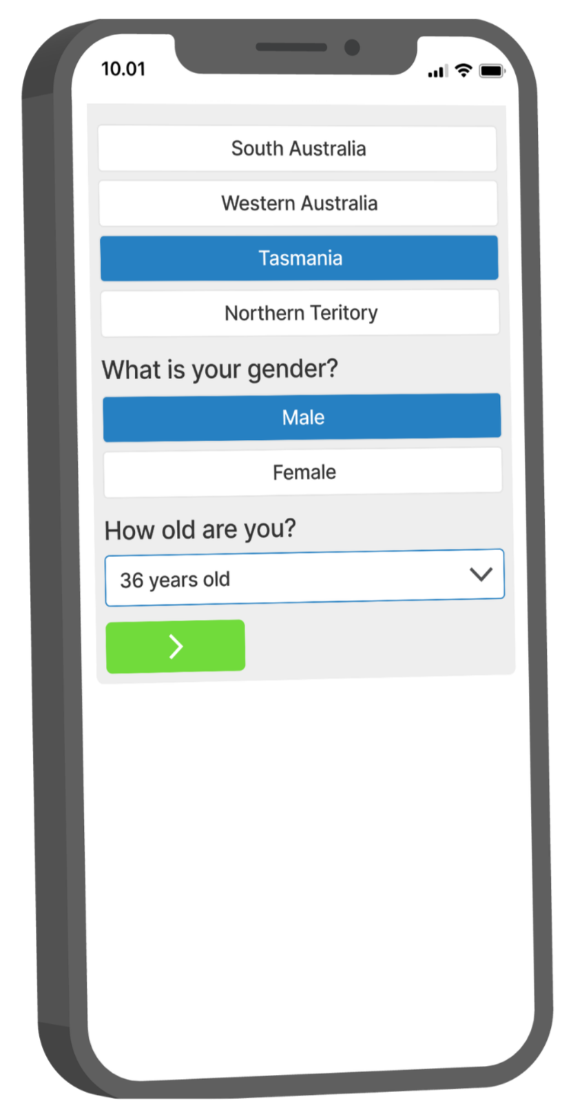 Survey interface