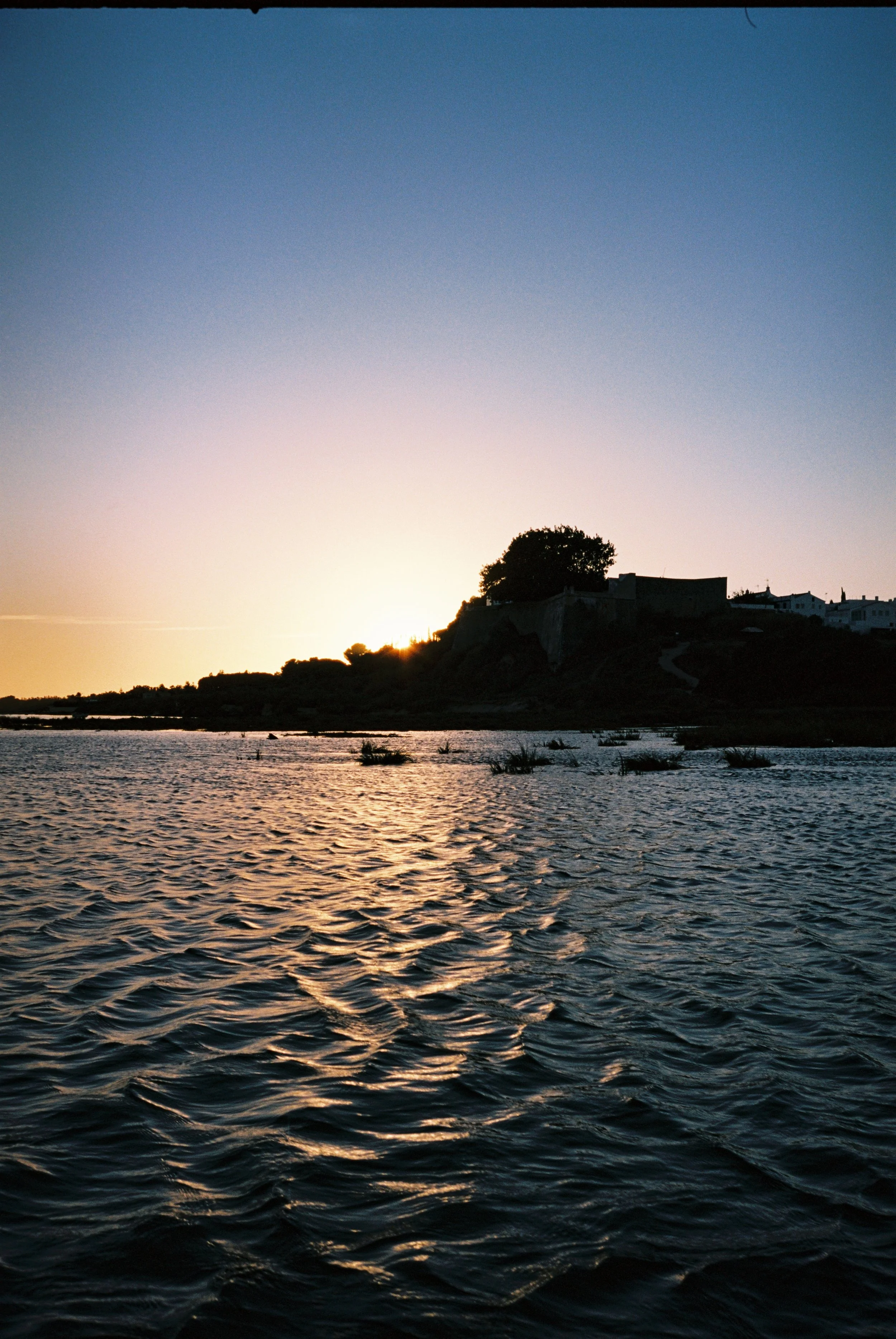 A Morning at the Ria Formosa