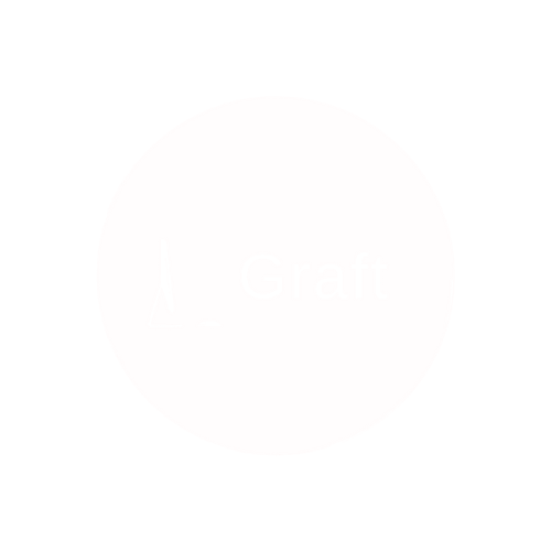 Graft Virtual Solutions