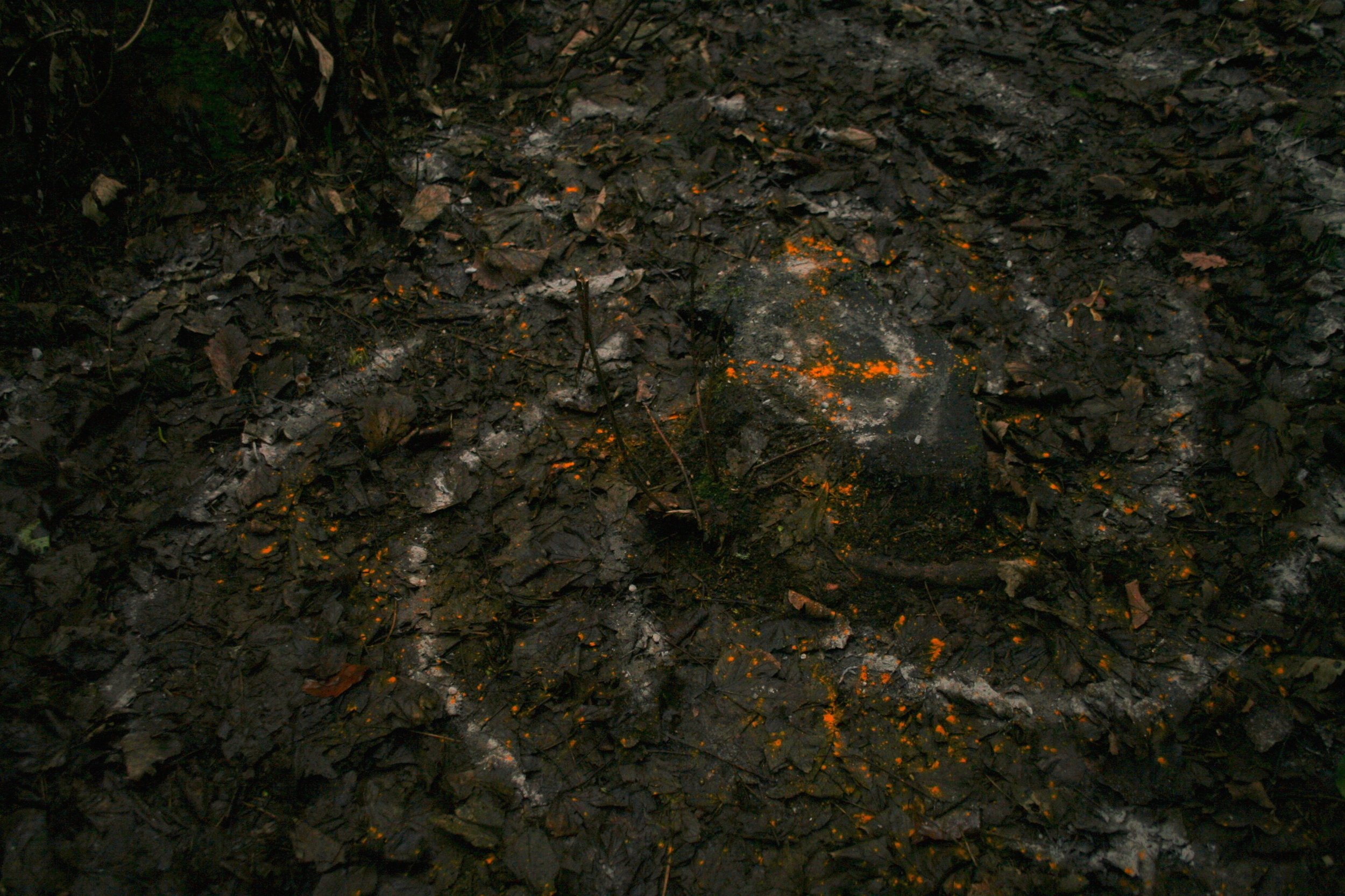Spirals and Raindrops - ash and turmeric , dancing with natural pigments in the rain.