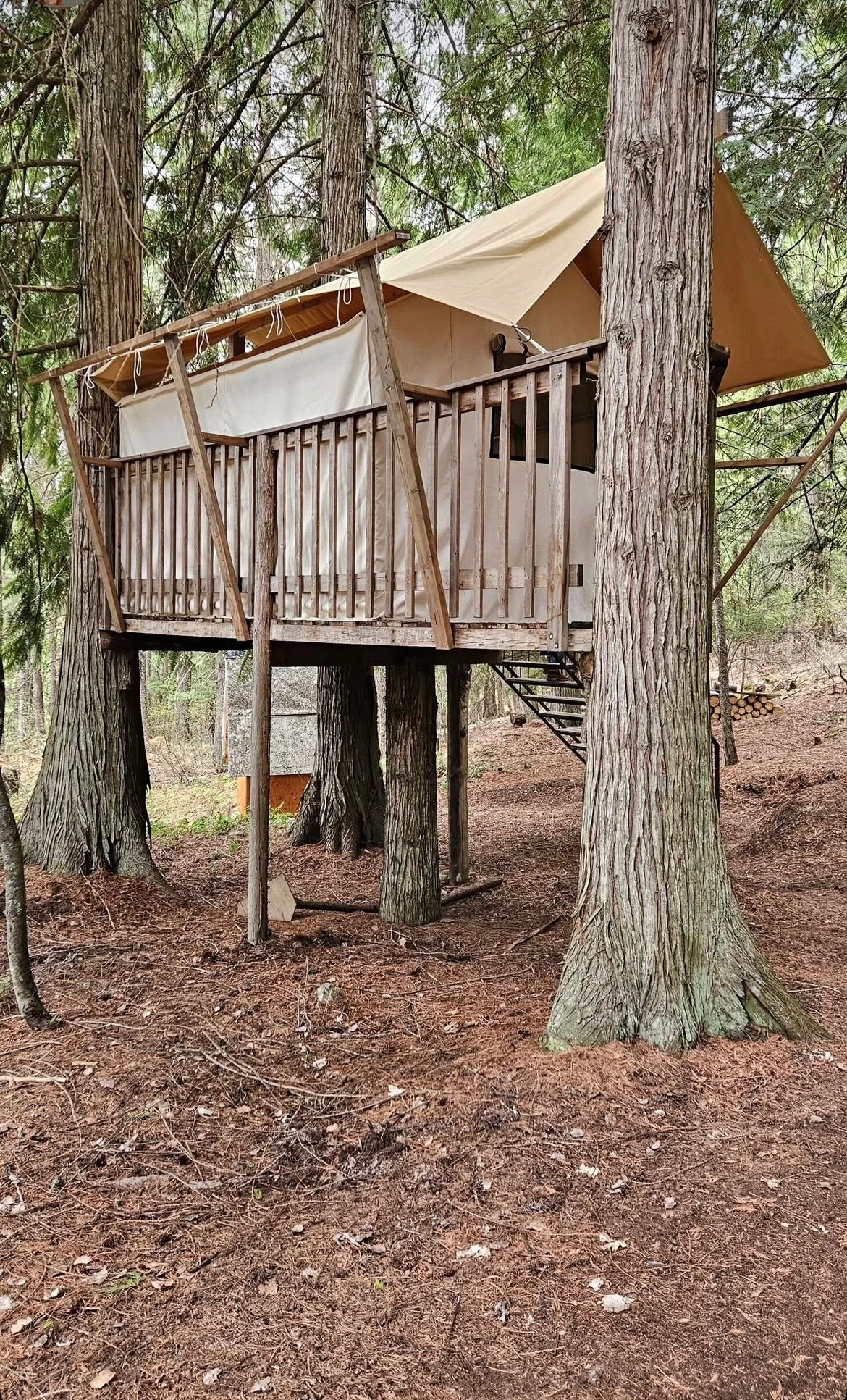 Shared Treehouse Tent (1 available)