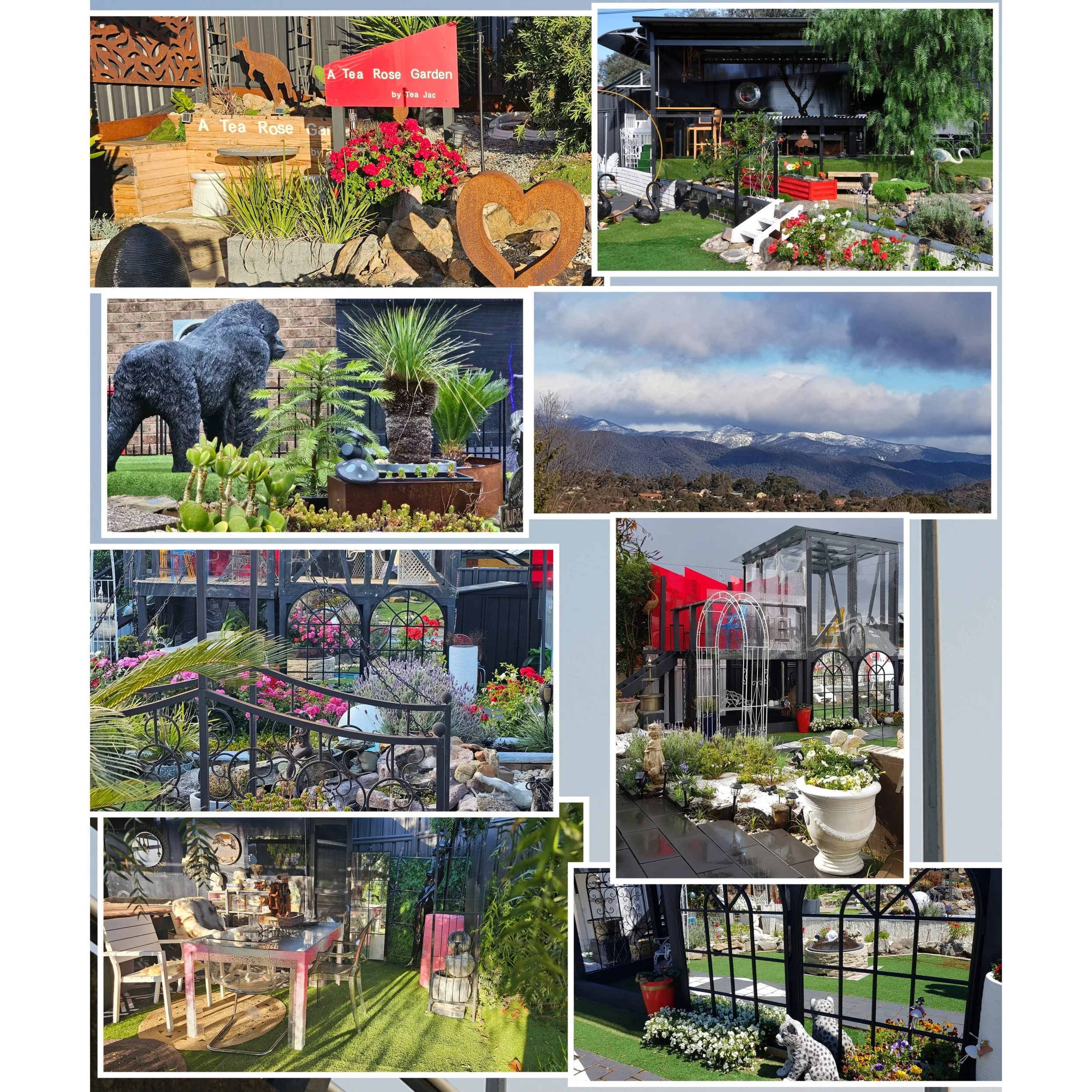 TeaRoseGarden02.jpg