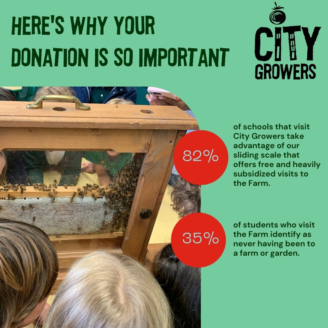 As this year draws to a close, City Growers is still working to meet our fundraising goal. If you support our mission to make nature accessible to all New York City youth, and are in the position to give, we hope you will consider making a gift in ho