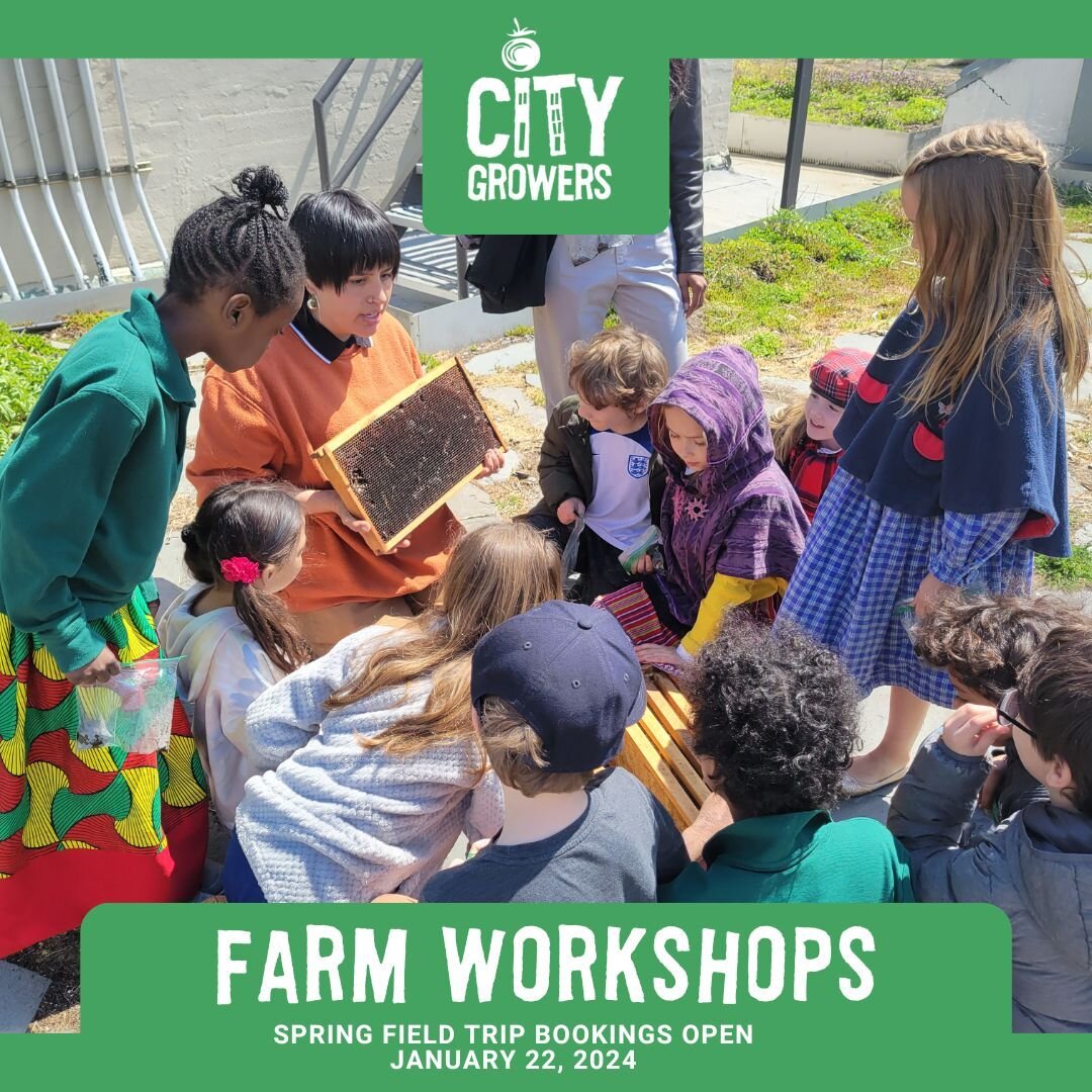 Put away the winter hat and break out your sunglasses - spring workshop bookings open Monday January 22nd at 9am! Farm Workshops take place at both Brooklyn Grange locations- Brooklyn Navy Yard and Sunset Park. Workshops start in April and are geared