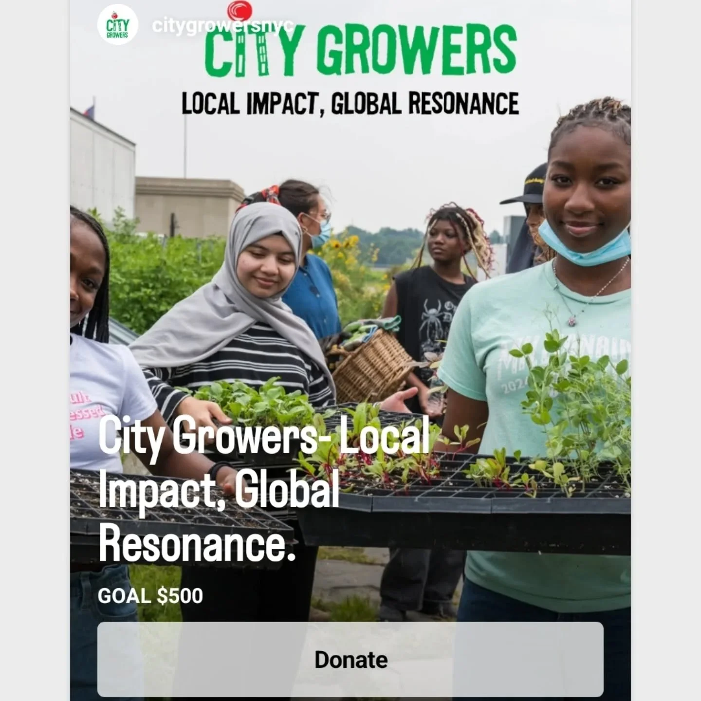 City Growers is a youth development and education organization developing the next generation of climate leaders. Our classroom is New York City, where we explore unique spaces like Brooklyn Grange rooftop farm to equip local youth to see not just cl
