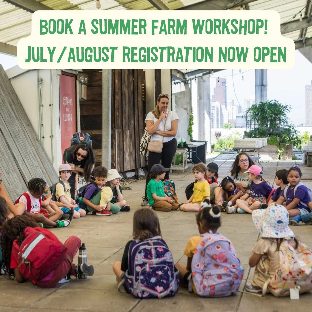 Registration for City Growers farm workshops is now open! Link in bio to secure your July/August dates.