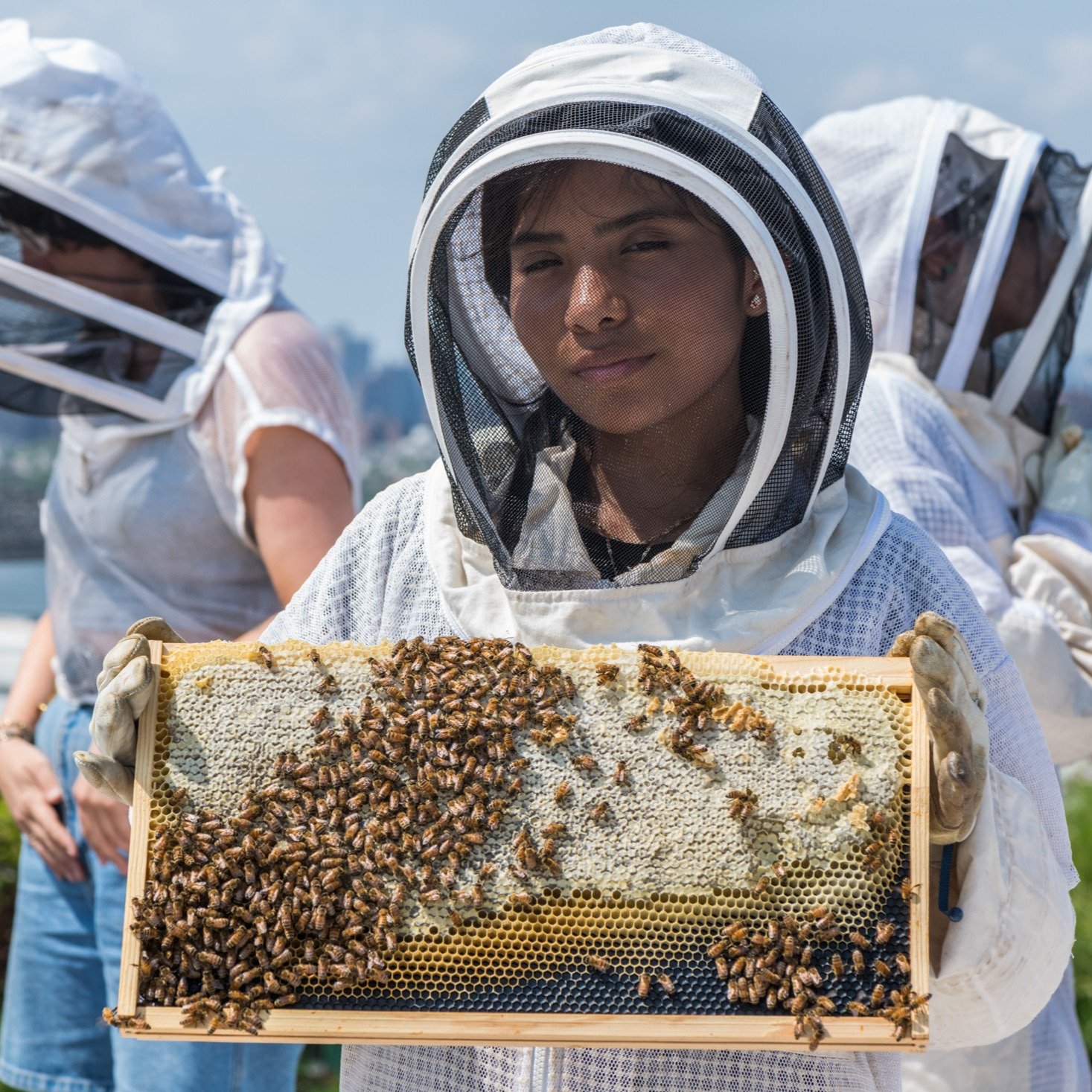 In honor of World Bee Day, meet the City Growers Bee Ambassadors! This paid six-week summer program recruits High School students from local schools and trains them in urban agriculture, ecosystem awareness, and habitat development to support urban p