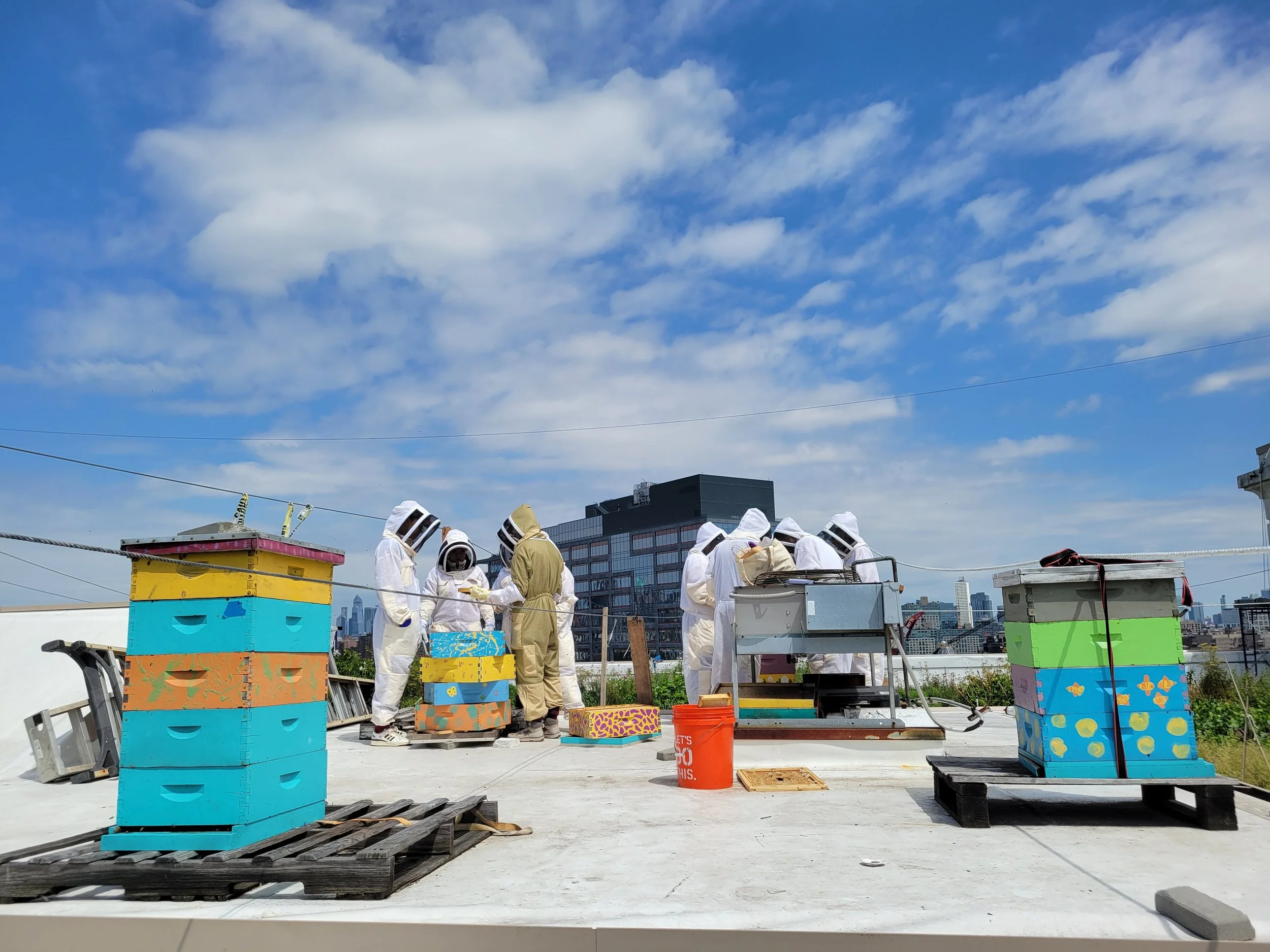 Youth Bee/Green Ambassadors checking up on Bee Communities