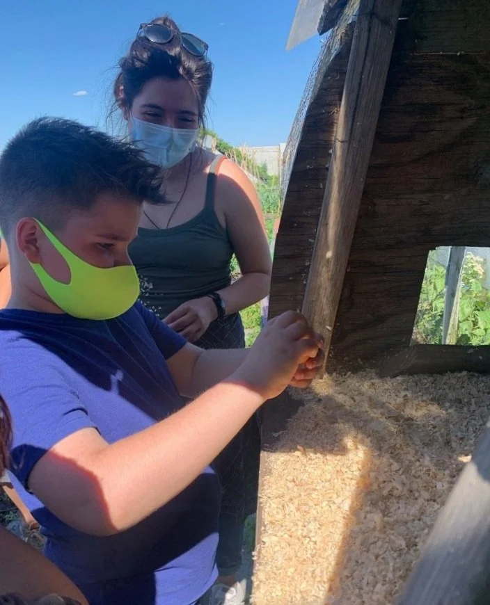 Youth Member caring for the Chickens under supervision
