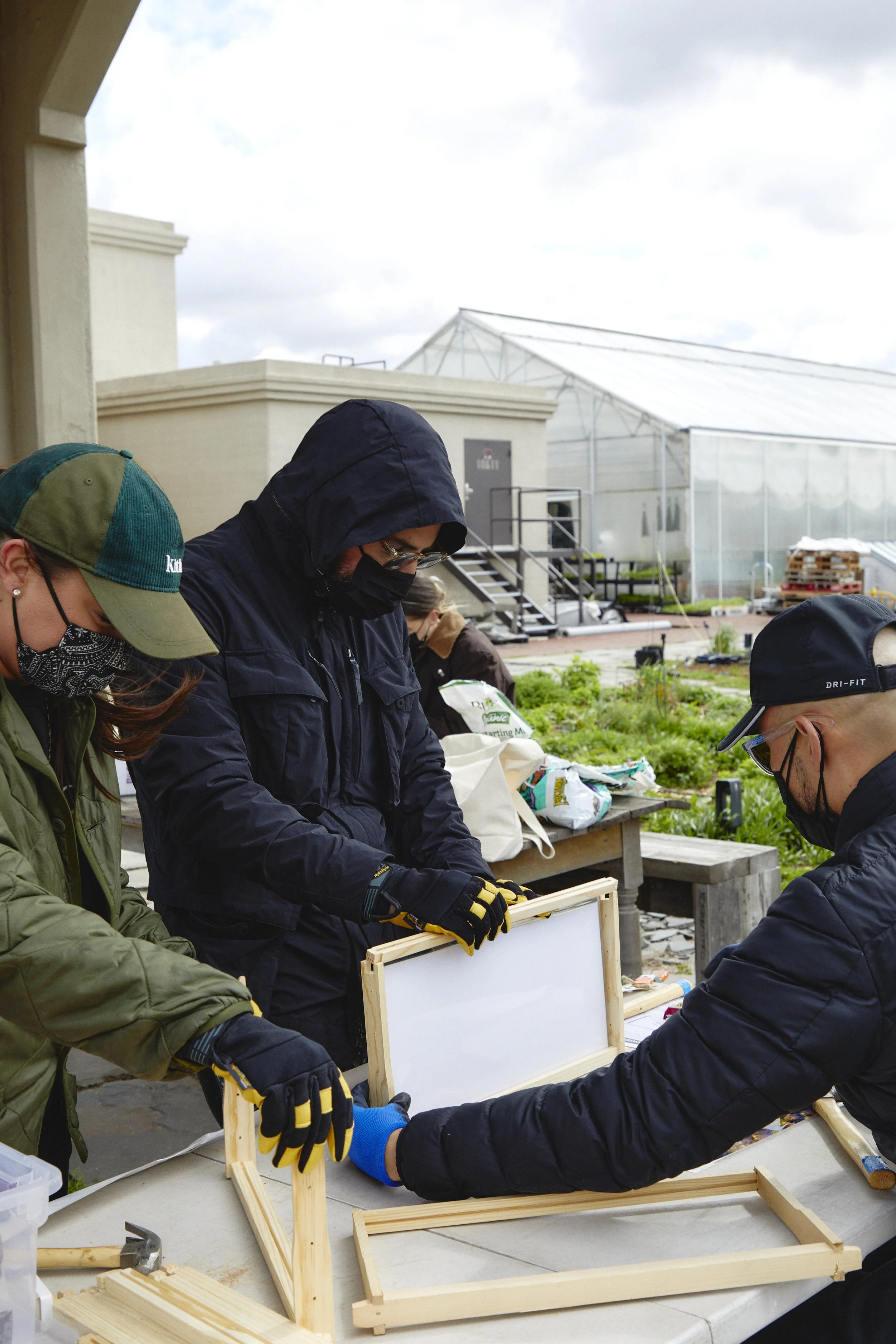 City Growers Volunteers working together