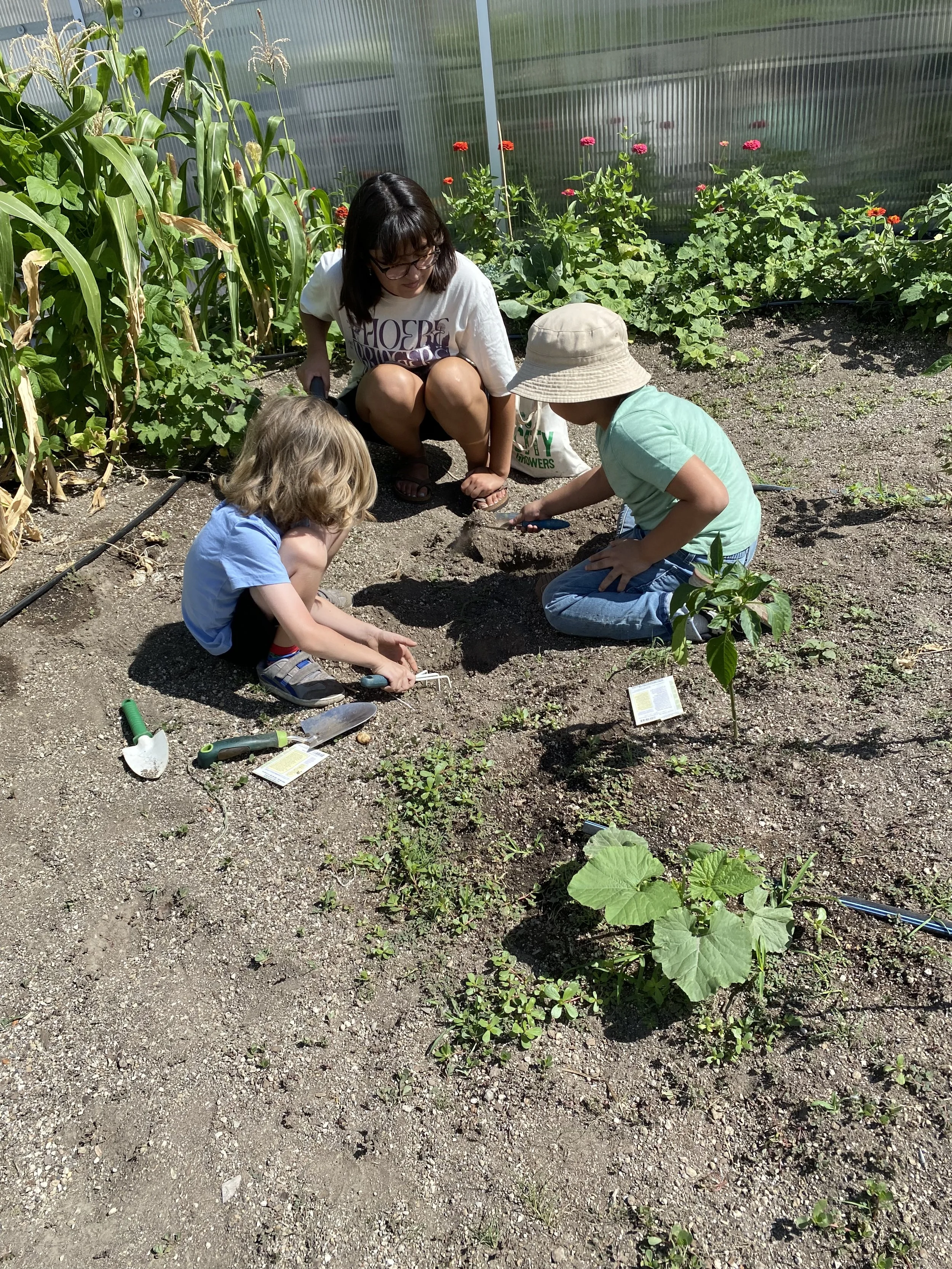 8FA78CE0-D84B-4F70-849C-232B79E53572 - Maribel Tale.jpeg