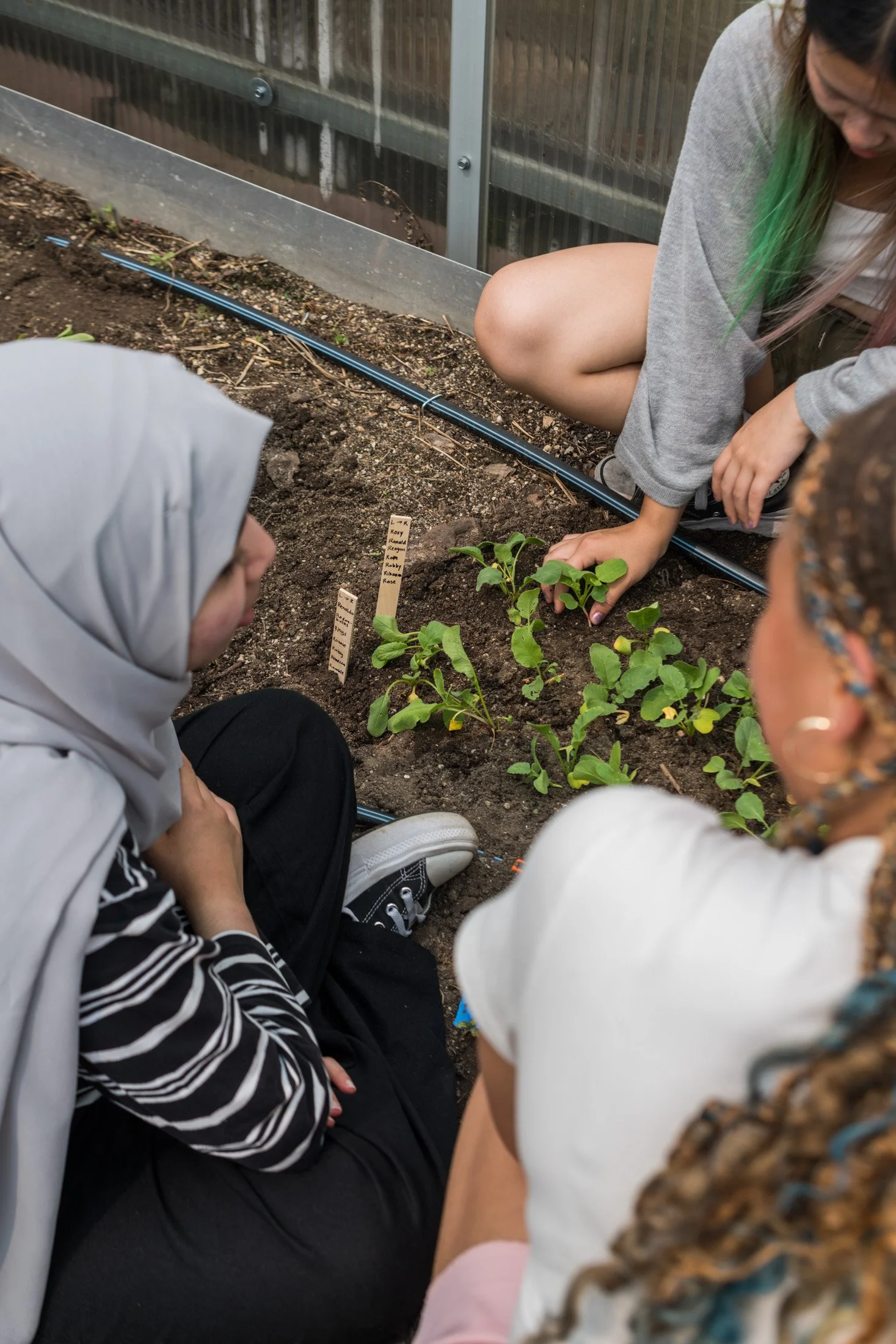 Camp Leader and Youth discussing the plans for their Farm Visit