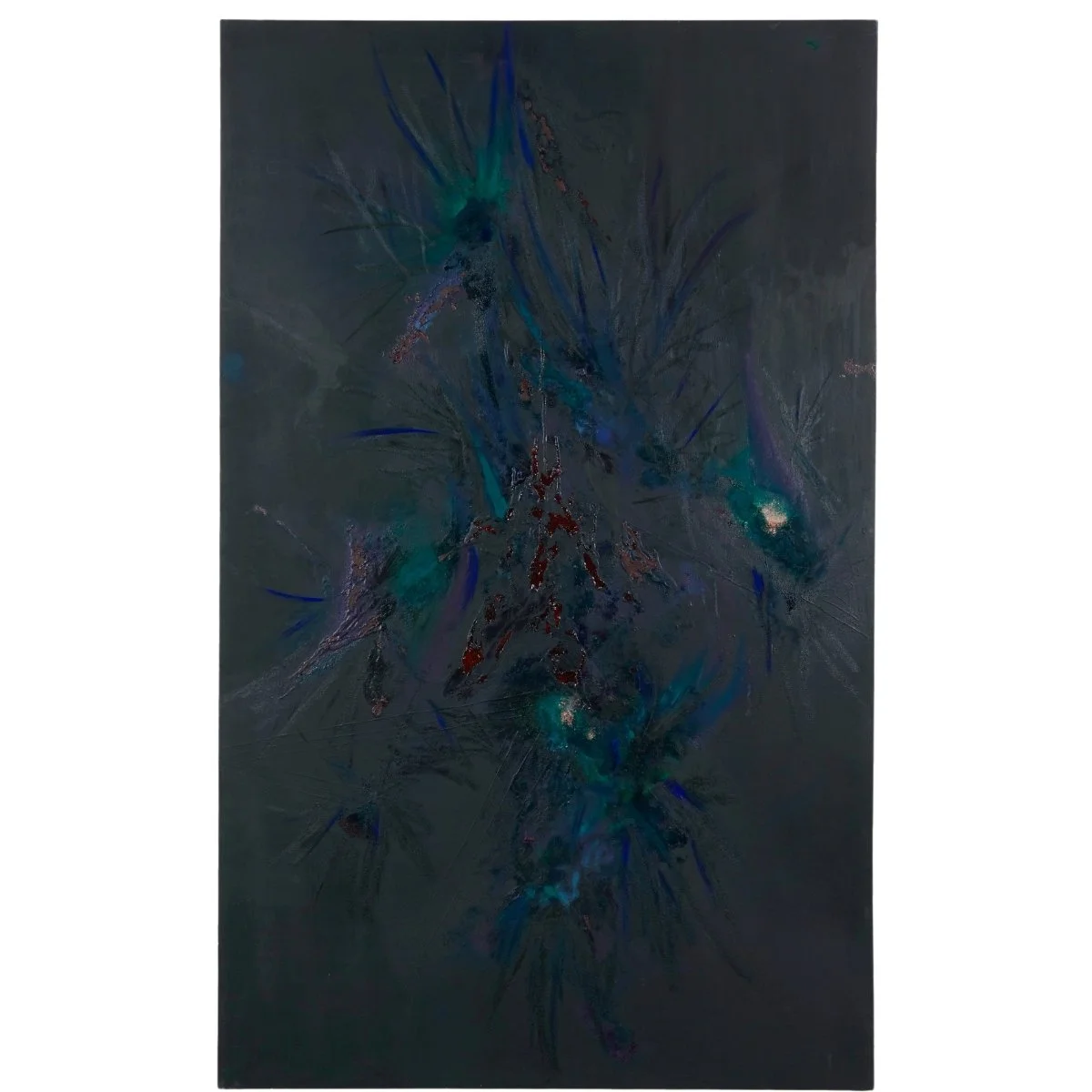 A rare patch of an old forest 