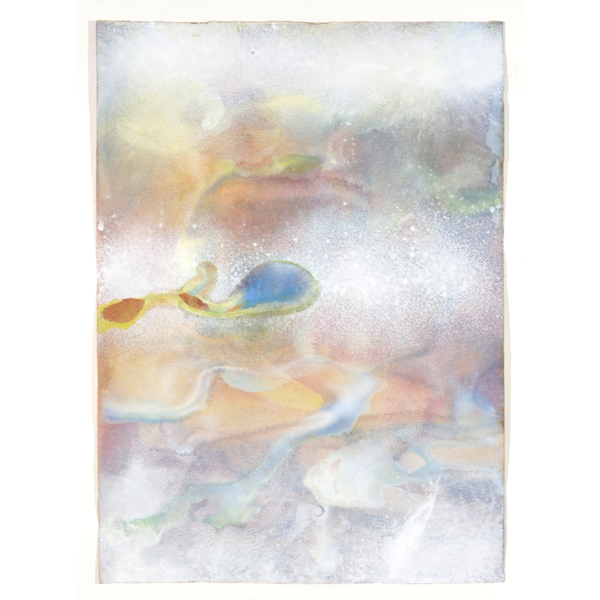 Disciplinary remains