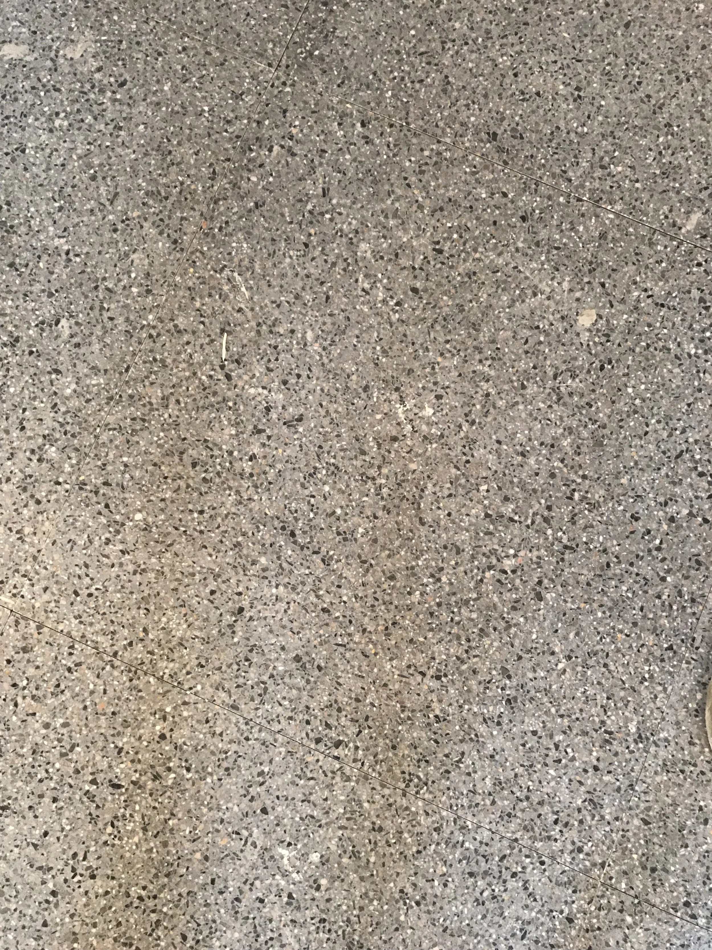 IMG_0520.jpeg