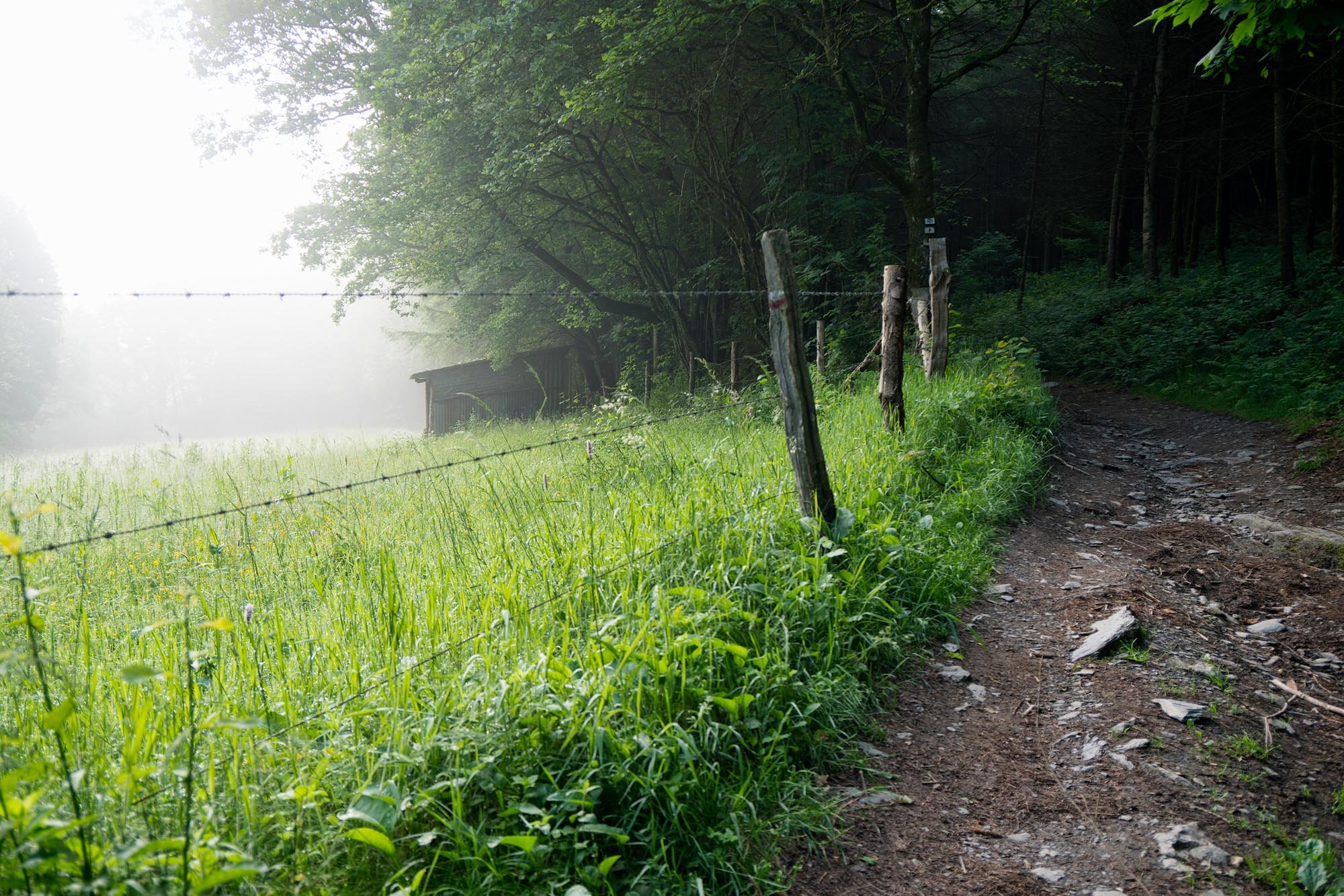 ardennes-arbalete-bikepacking-route_19.jpeg