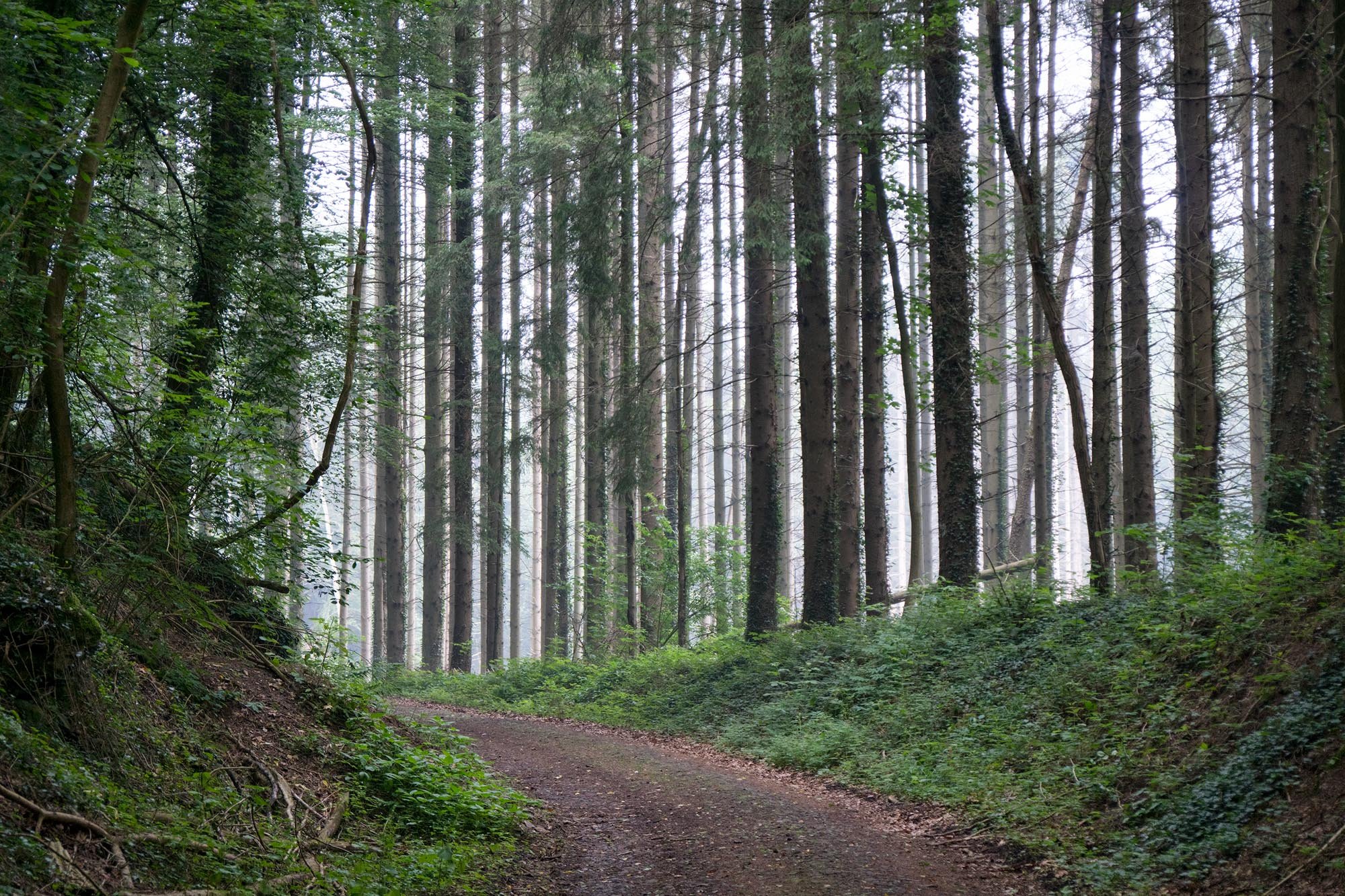 ardennes-arbalete-bikepacking-route_41.jpeg